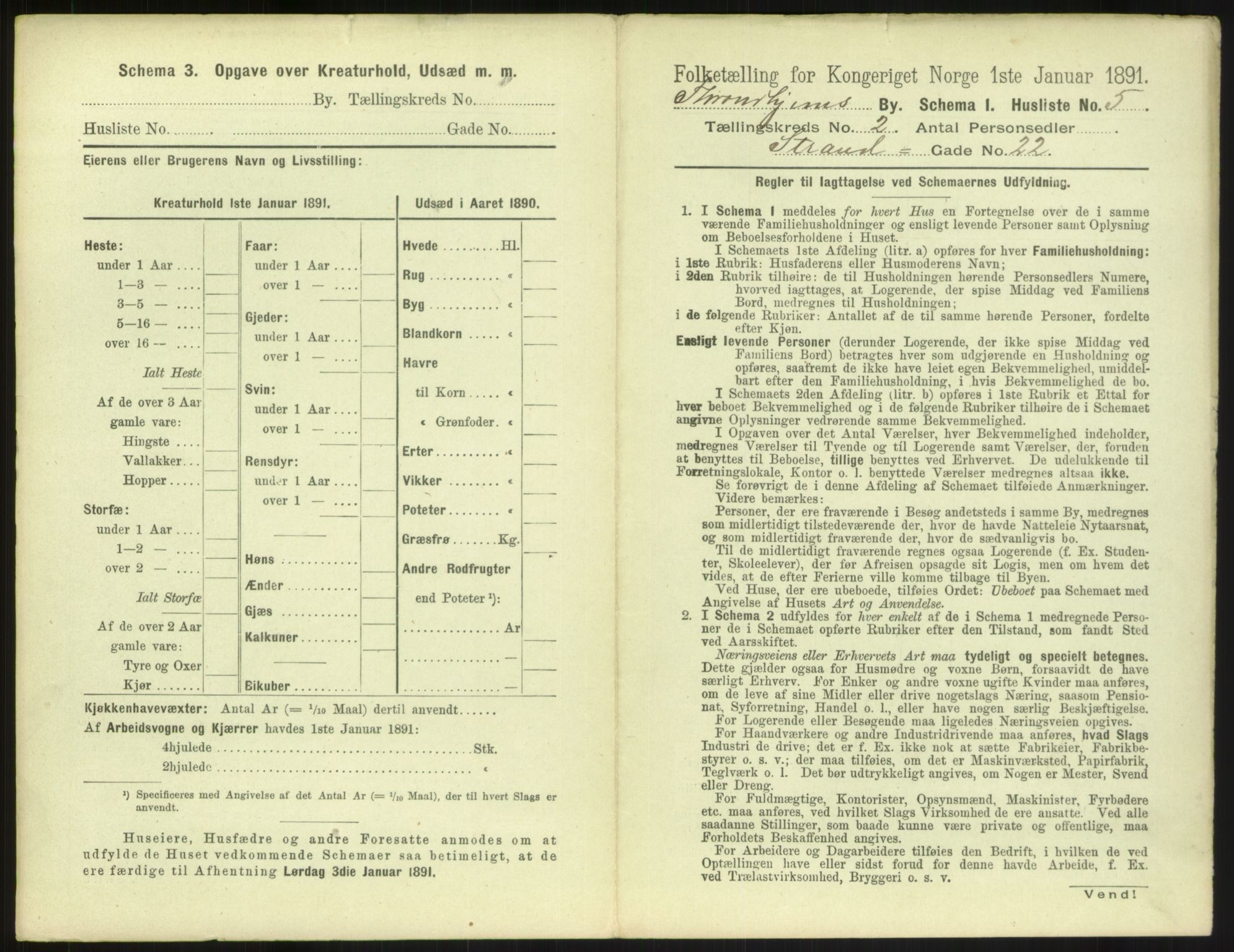 RA, 1891 census for 1601 Trondheim, 1891, p. 244