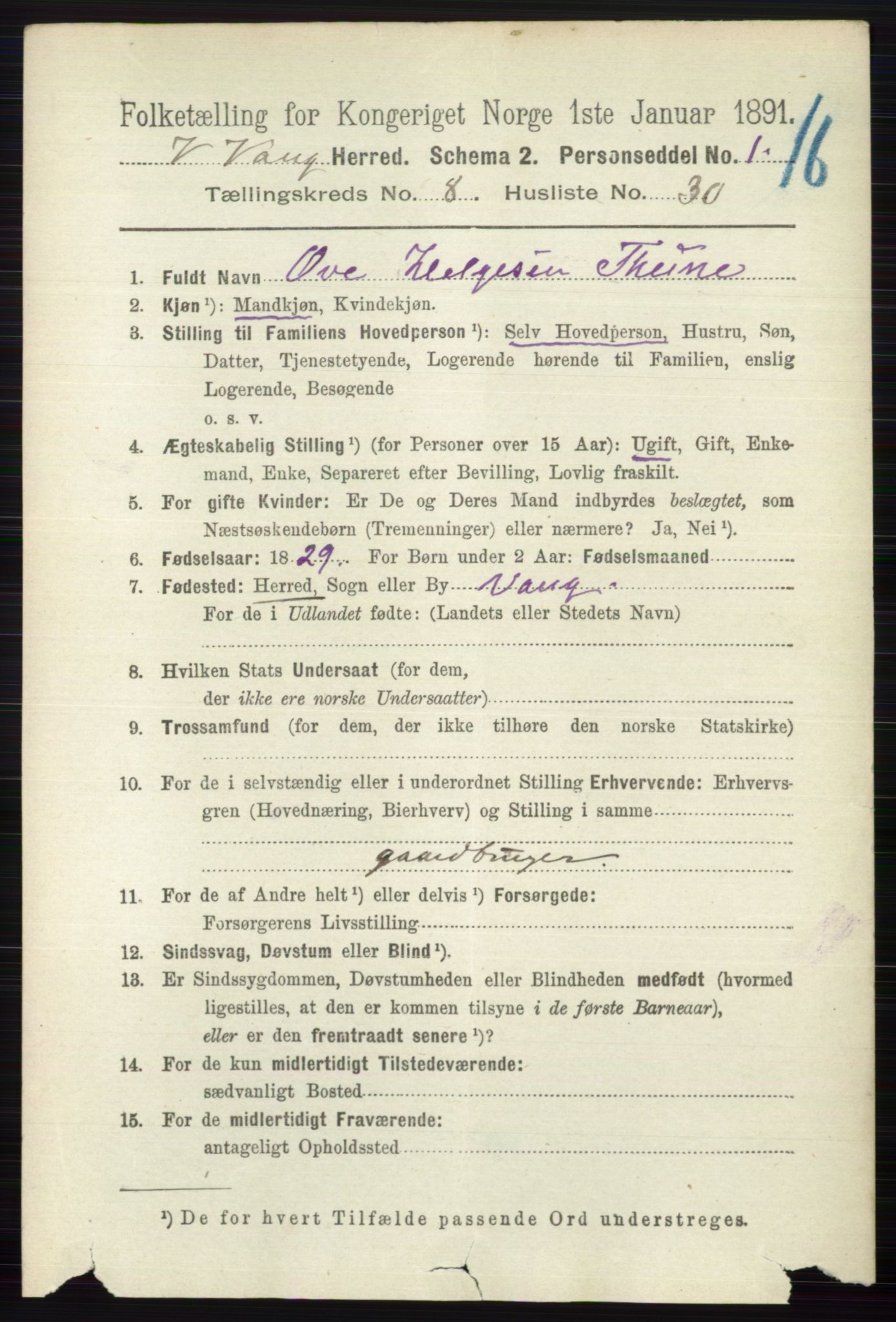 RA, 1891 census for 0545 Vang, 1891, p. 1917