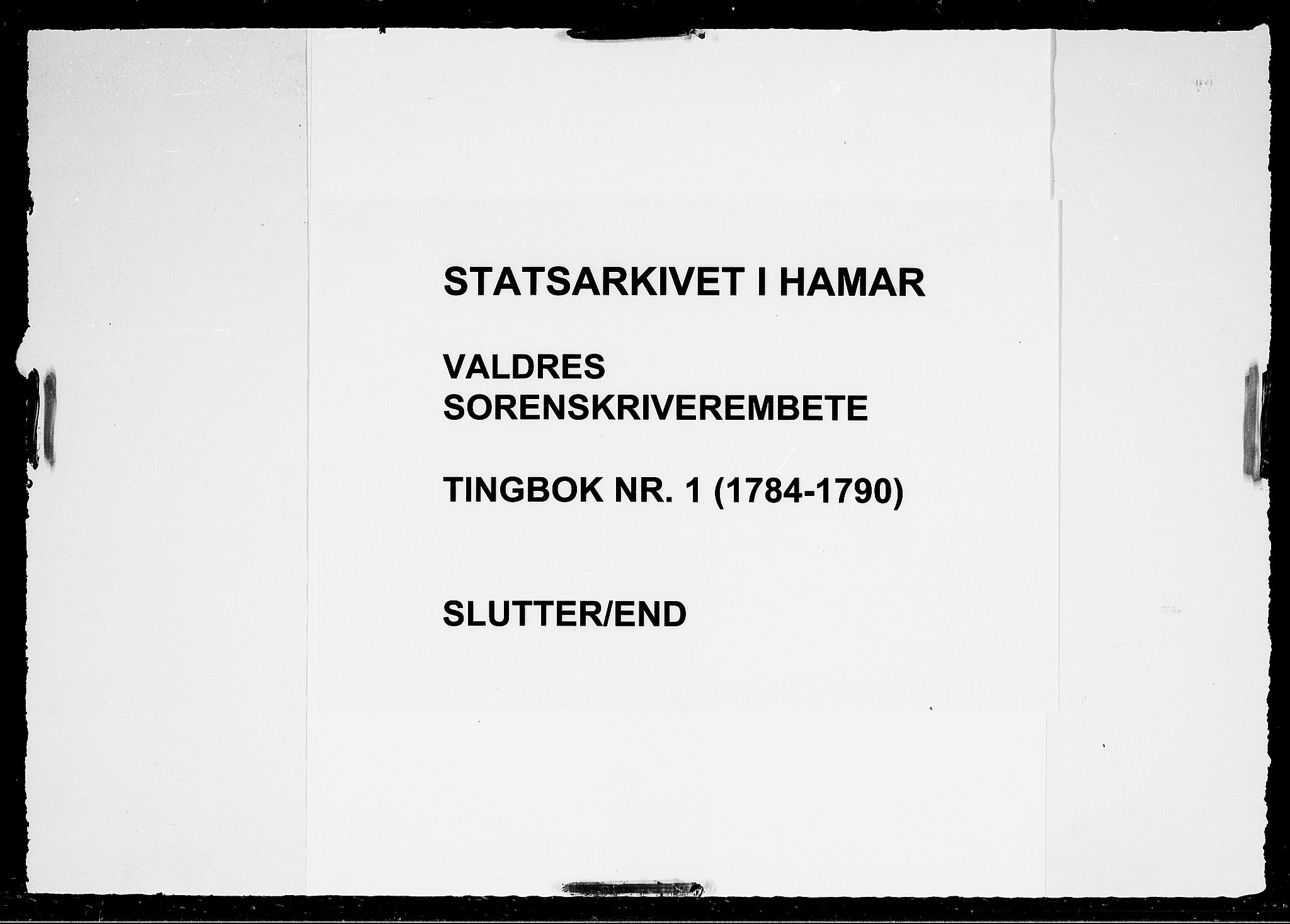 Valdres sorenskriveri, SAH/TING-016/G/Gb/L0001: Tingbok, 1784-1790