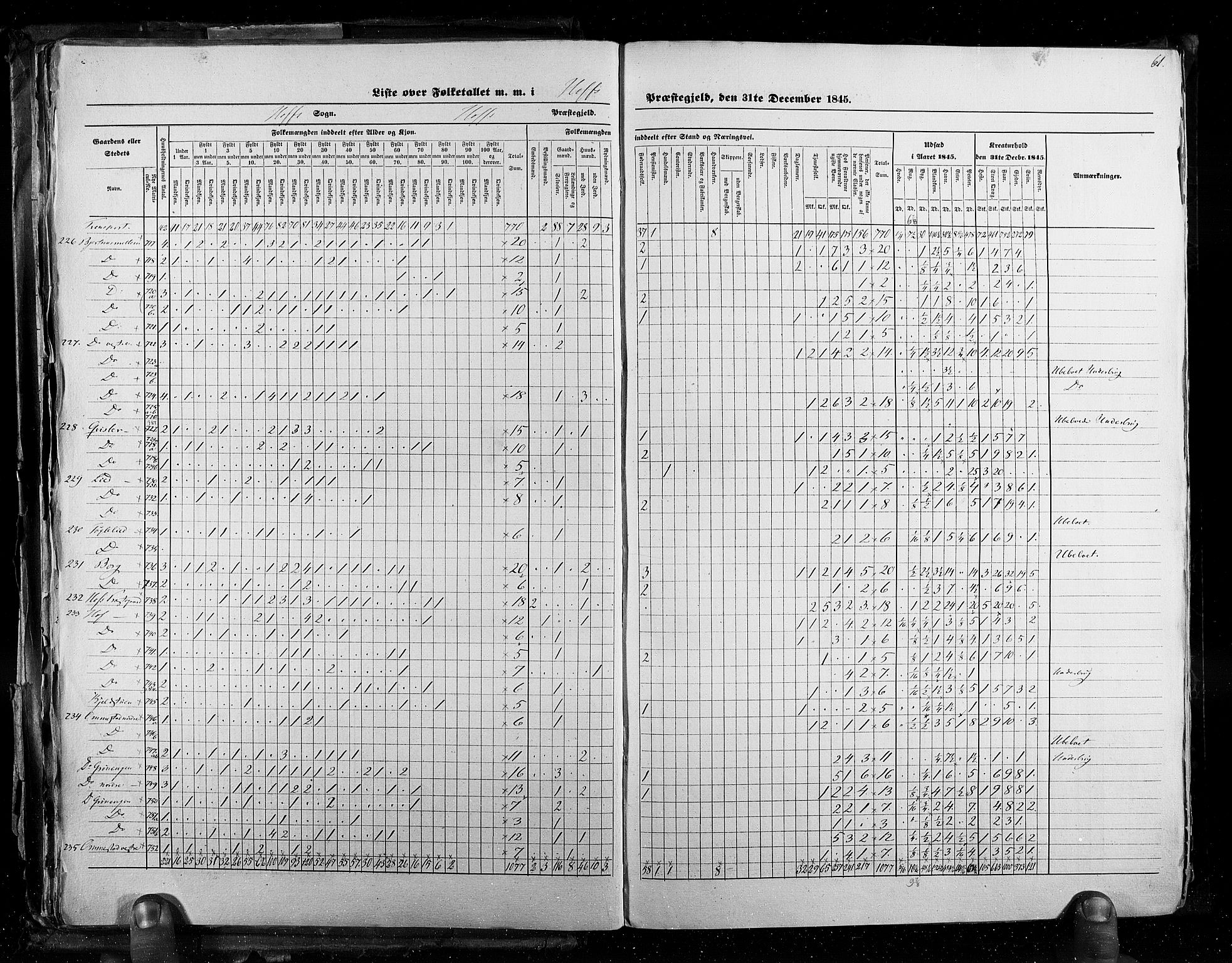 RA, Census 1845, vol. 3: Hedemarken amt og Kristians amt, 1845, p. 61