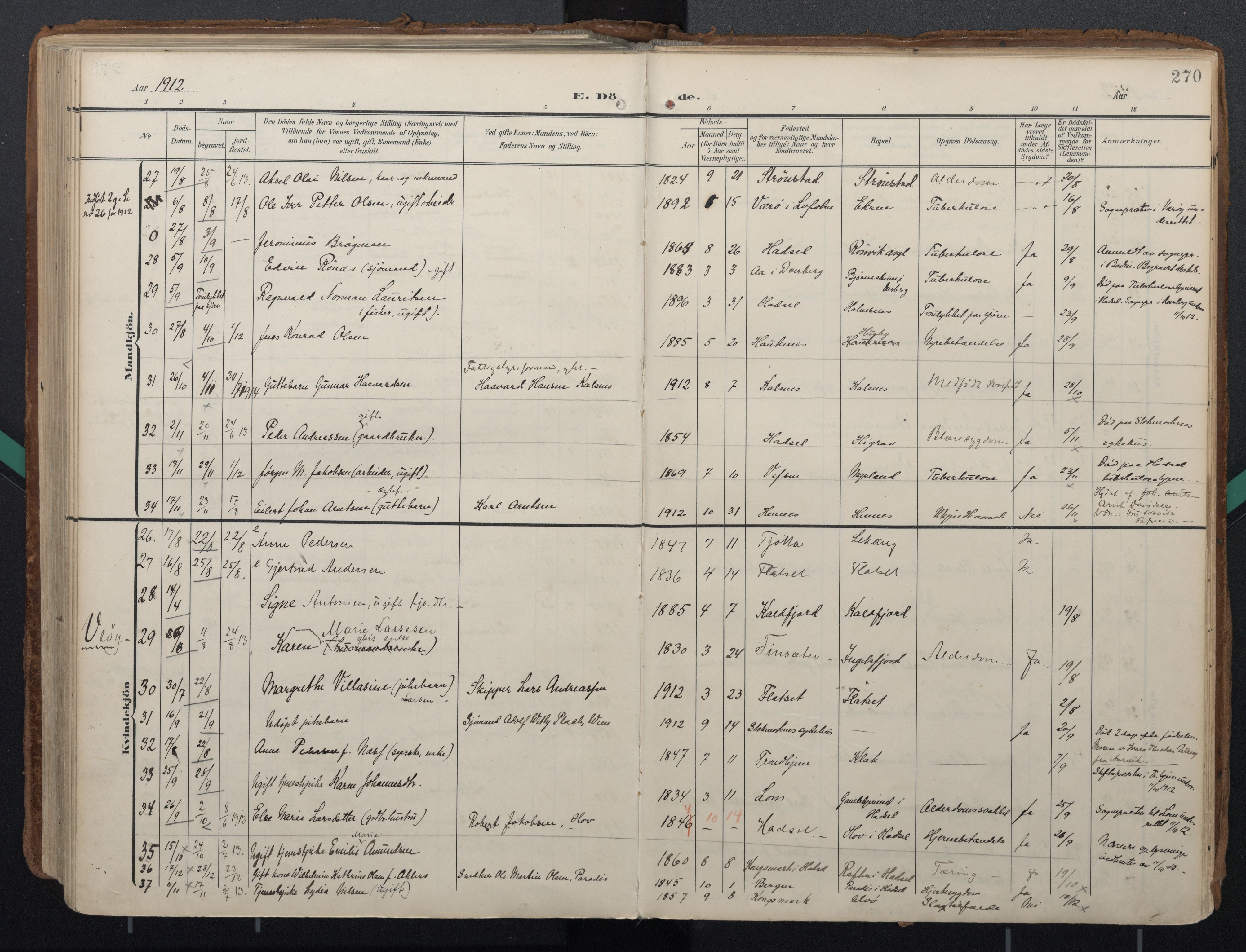 Ministerialprotokoller, klokkerbøker og fødselsregistre - Nordland, AV/SAT-A-1459/888/L1248: Parish register (official) no. 888A14, 1904-1913, p. 270