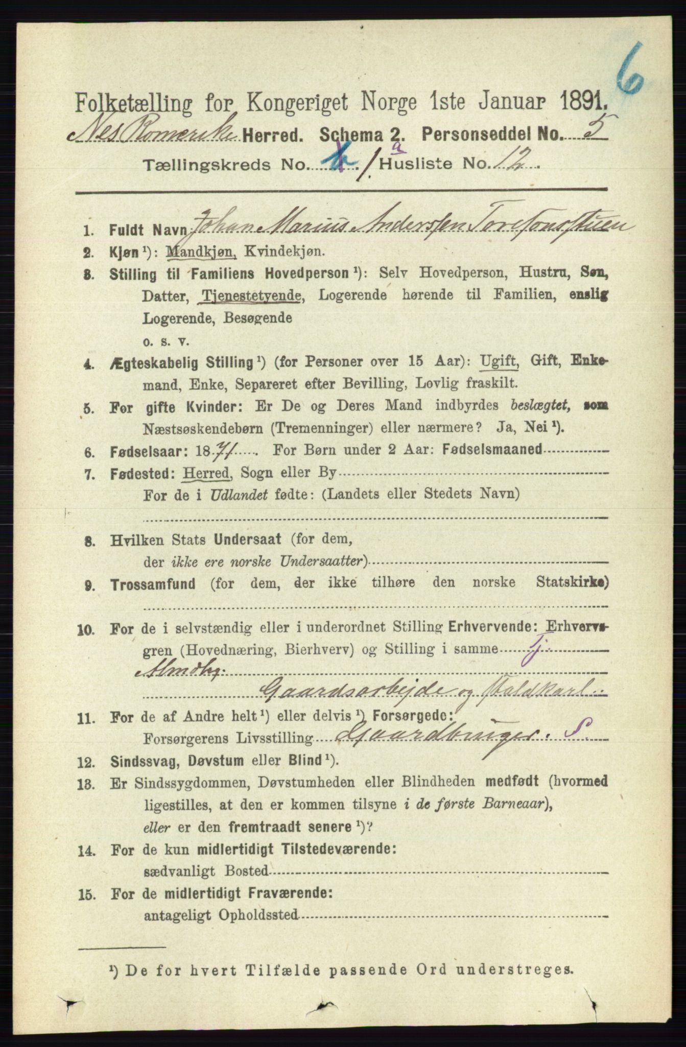 RA, 1891 census for 0236 Nes, 1891, p. 184