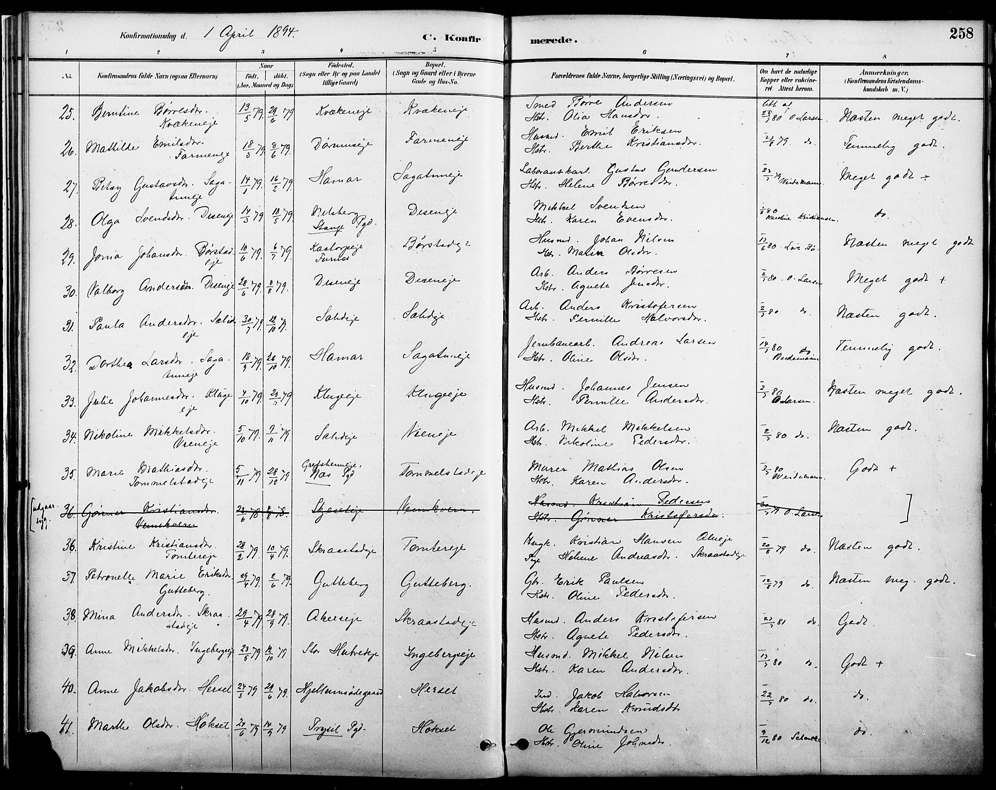 Vang prestekontor, Hedmark, AV/SAH-PREST-008/H/Ha/Haa/L0019A: Parish register (official) no. 19, 1886-1900, p. 258