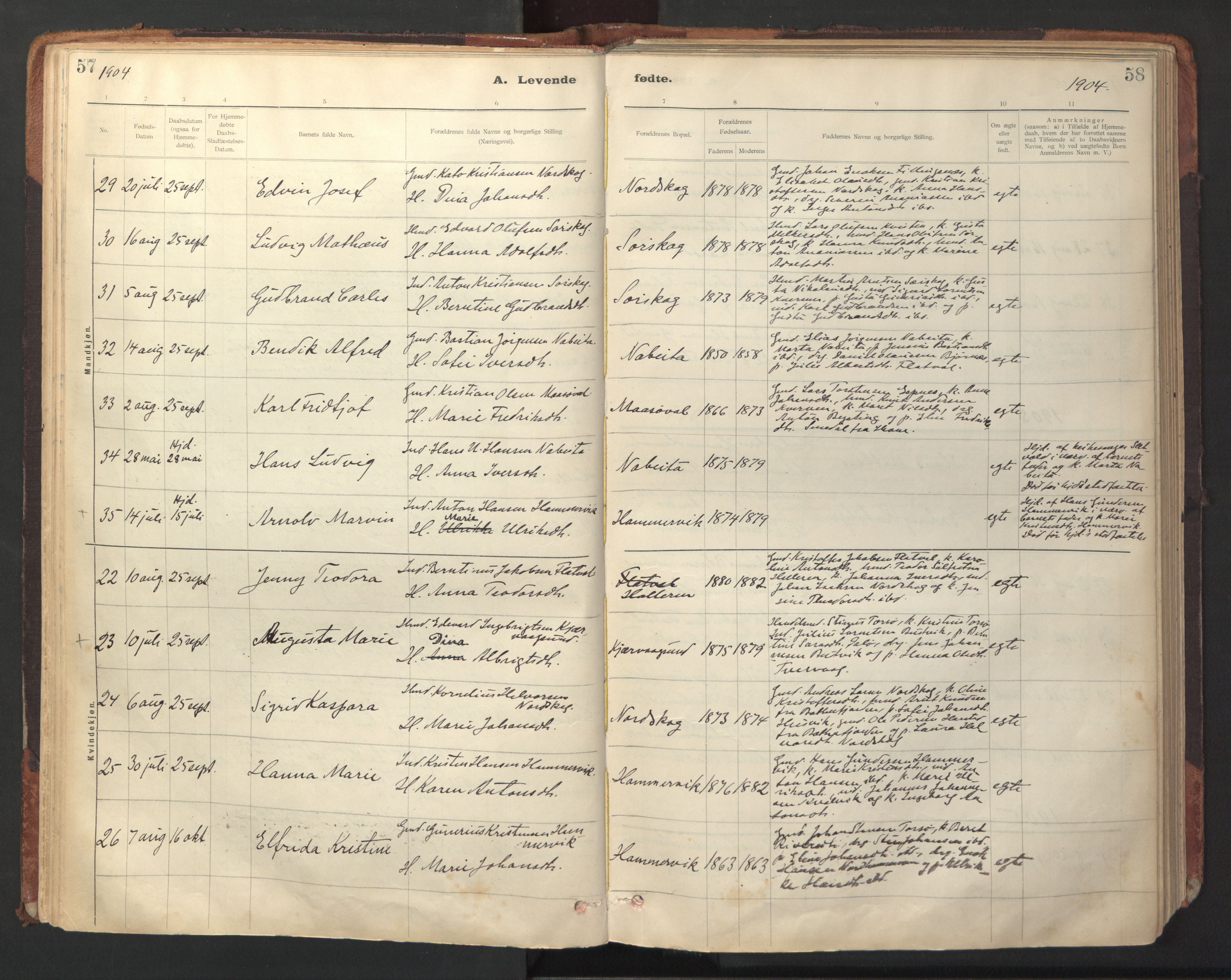 Ministerialprotokoller, klokkerbøker og fødselsregistre - Sør-Trøndelag, SAT/A-1456/641/L0596: Parish register (official) no. 641A02, 1898-1915, p. 57-58