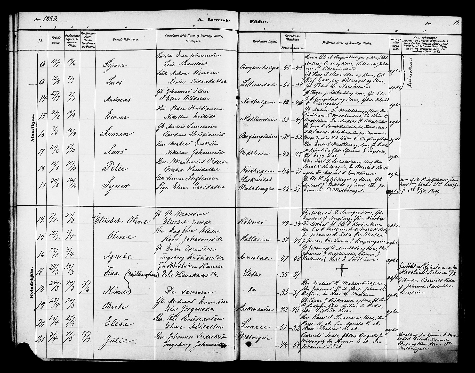 Ringsaker prestekontor, AV/SAH-PREST-014/K/Ka/L0013: Parish register (official) no. 13, 1879-1890, p. 19