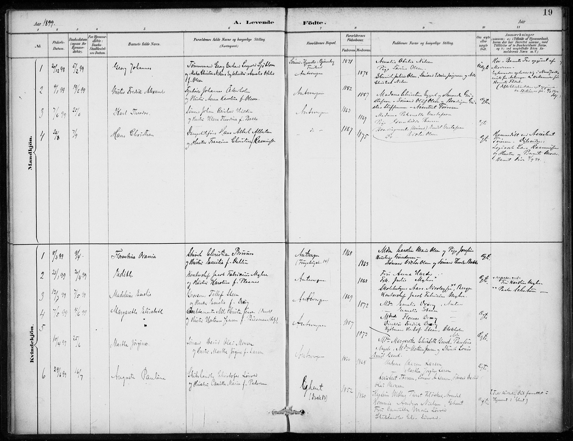 Den norske sjømannsmisjon i utlandet/Antwerpen, SAB/SAB/PA-0105/H/Ha/L0002: Parish register (official) no. A 2, 1887-1913, p. 19