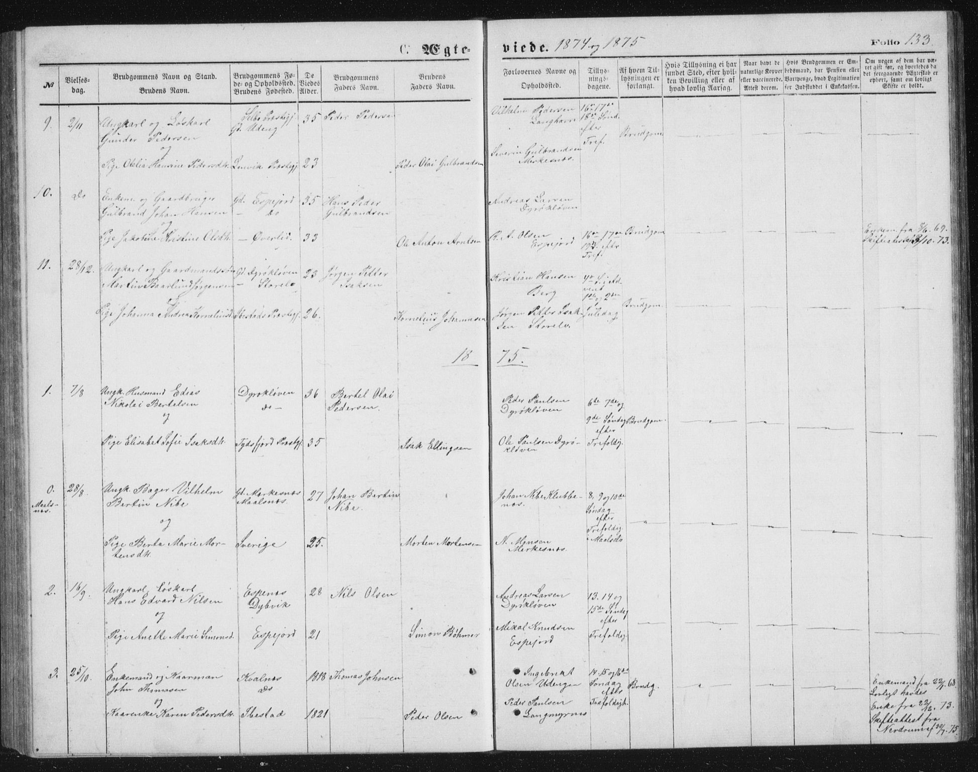 Tranøy sokneprestkontor, SATØ/S-1313/I/Ia/Iab/L0013klokker: Parish register (copy) no. 13, 1874-1896, p. 133