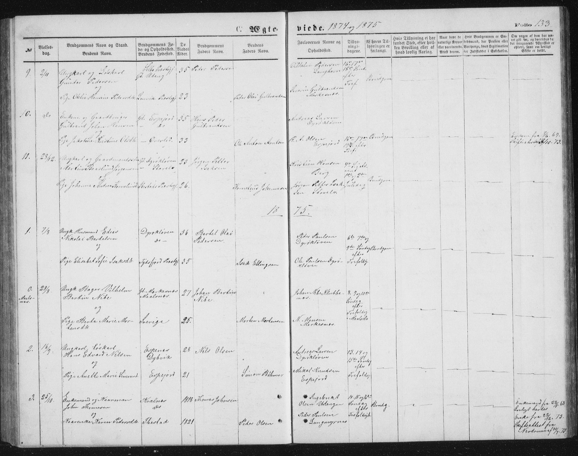 Tranøy sokneprestkontor, AV/SATØ-S-1313/I/Ia/Iab/L0013klokker: Parish register (copy) no. 13, 1874-1896, p. 133