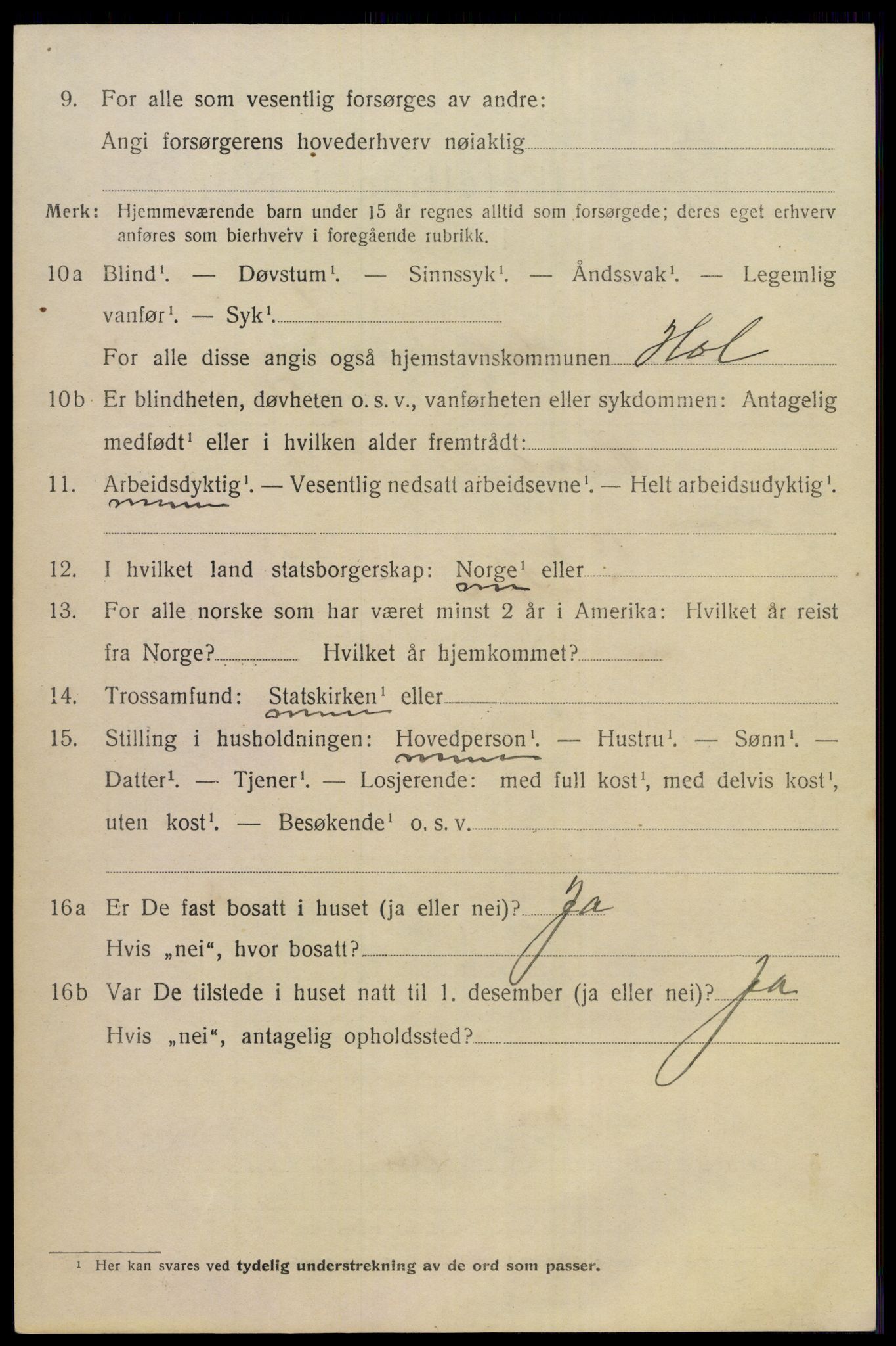 SAKO, 1920 census for Hol (Buskerud), 1920, p. 3514