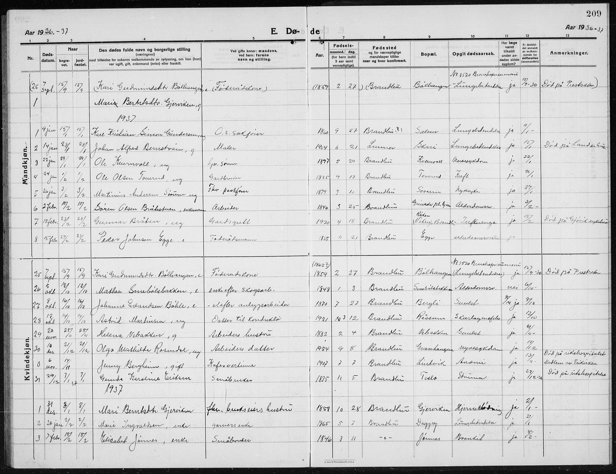 Brandbu prestekontor, AV/SAH-PREST-114/H/Ha/Hab/L0001: Parish register (copy) no. 1, 1914-1937, p. 209