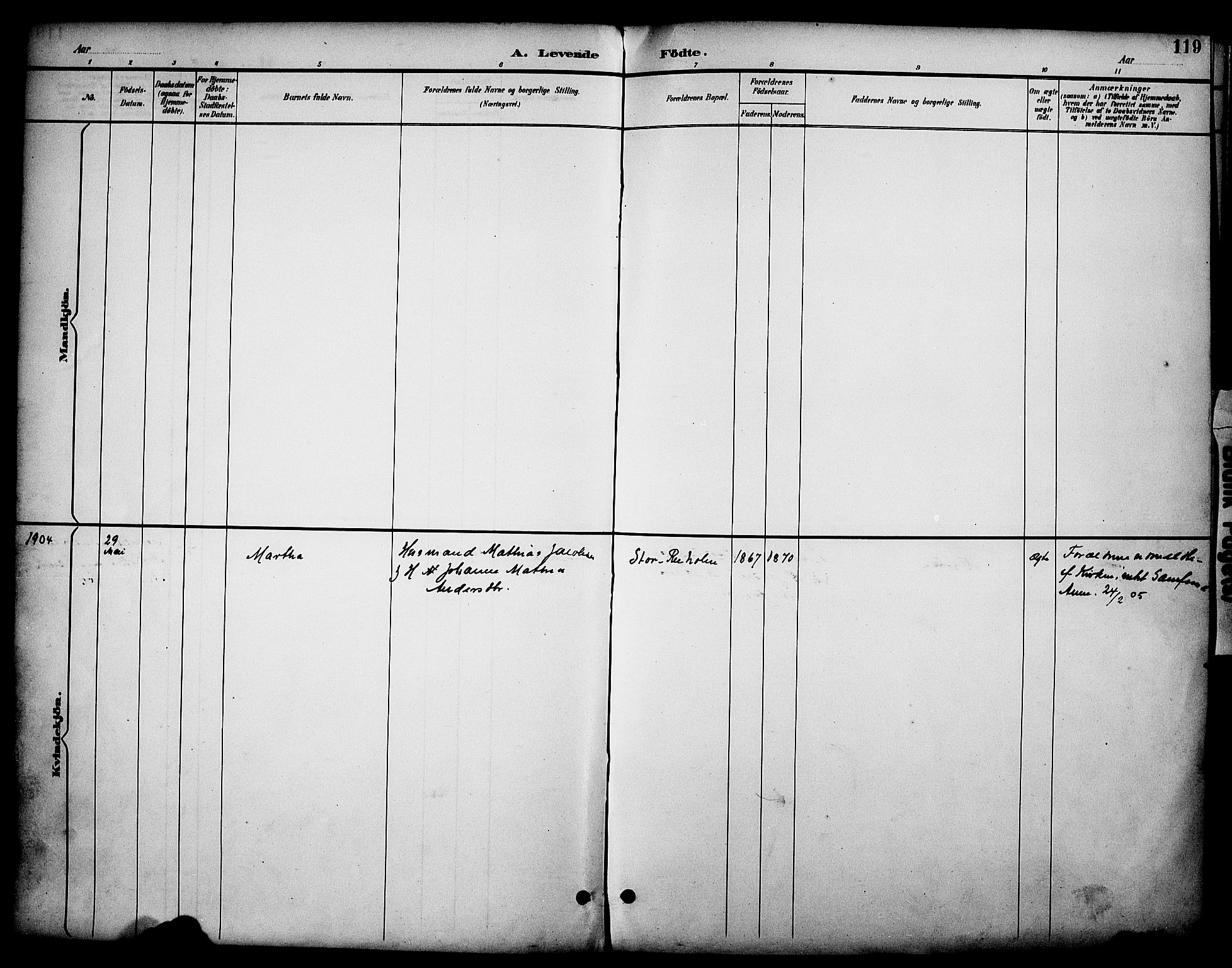 Stange prestekontor, SAH/PREST-002/K/L0020: Parish register (official) no. 20, 1894-1905, p. 119