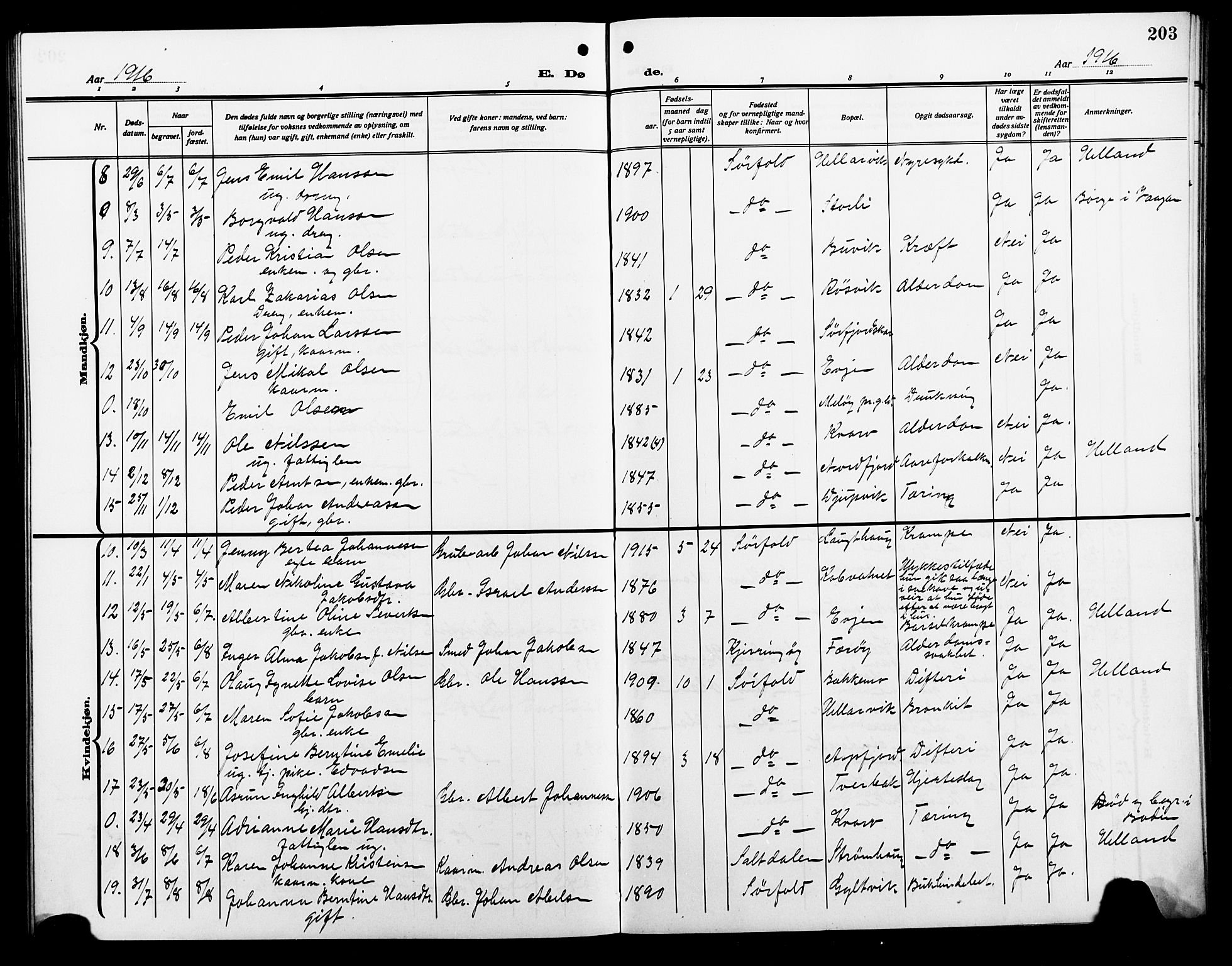 Ministerialprotokoller, klokkerbøker og fødselsregistre - Nordland, AV/SAT-A-1459/854/L0787: Parish register (copy) no. 854C03, 1913-1926, p. 203