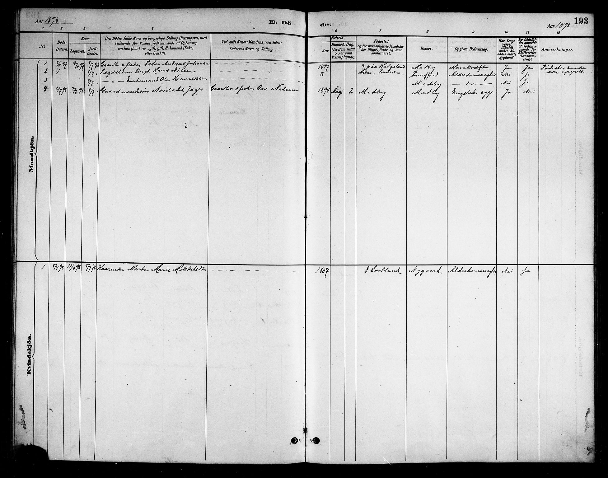 Ministerialprotokoller, klokkerbøker og fødselsregistre - Nordland, AV/SAT-A-1459/898/L1427: Parish register (copy) no. 898C02, 1887-1917, p. 193