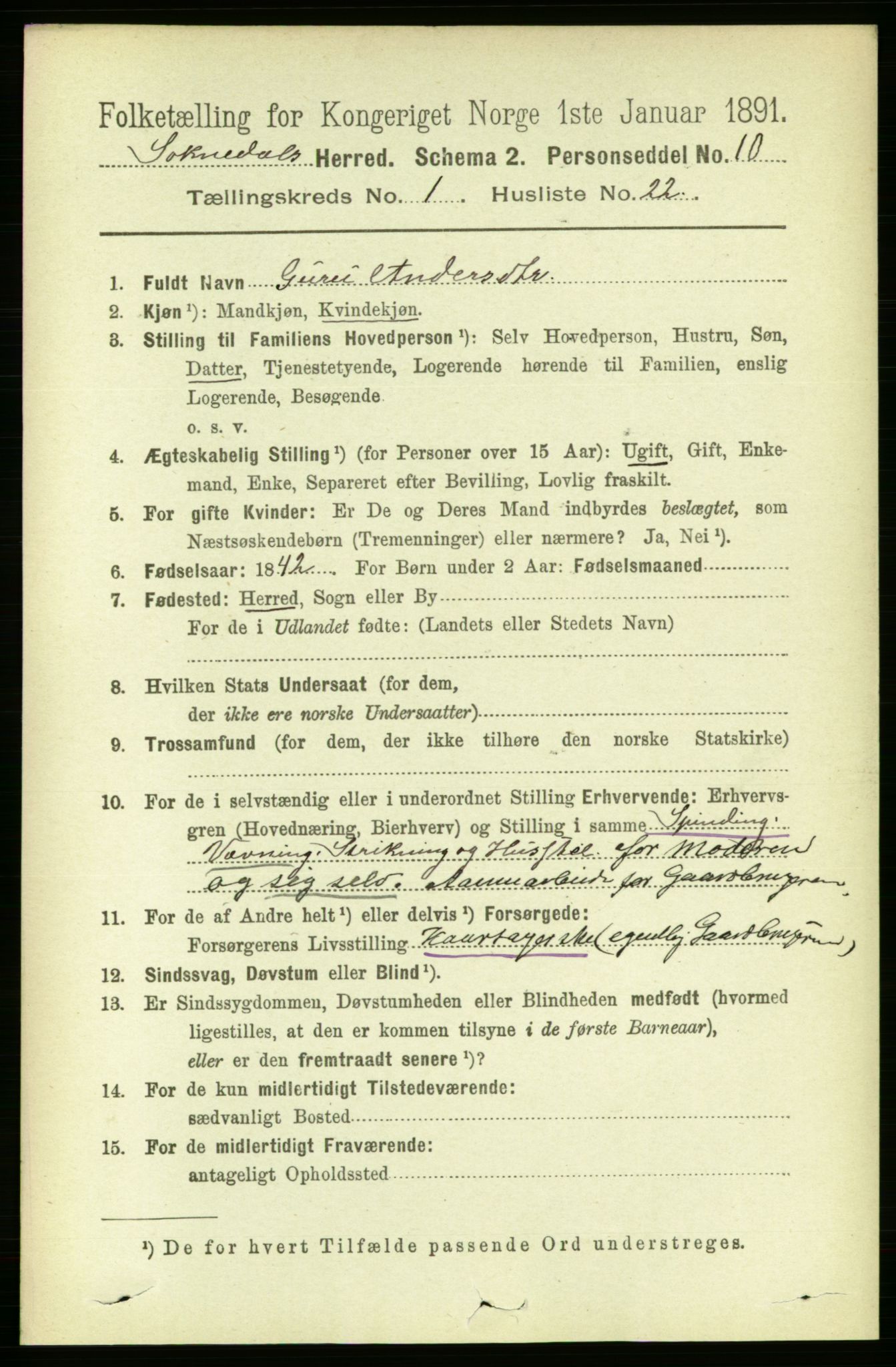 RA, 1891 census for 1649 Soknedal, 1891, p. 214