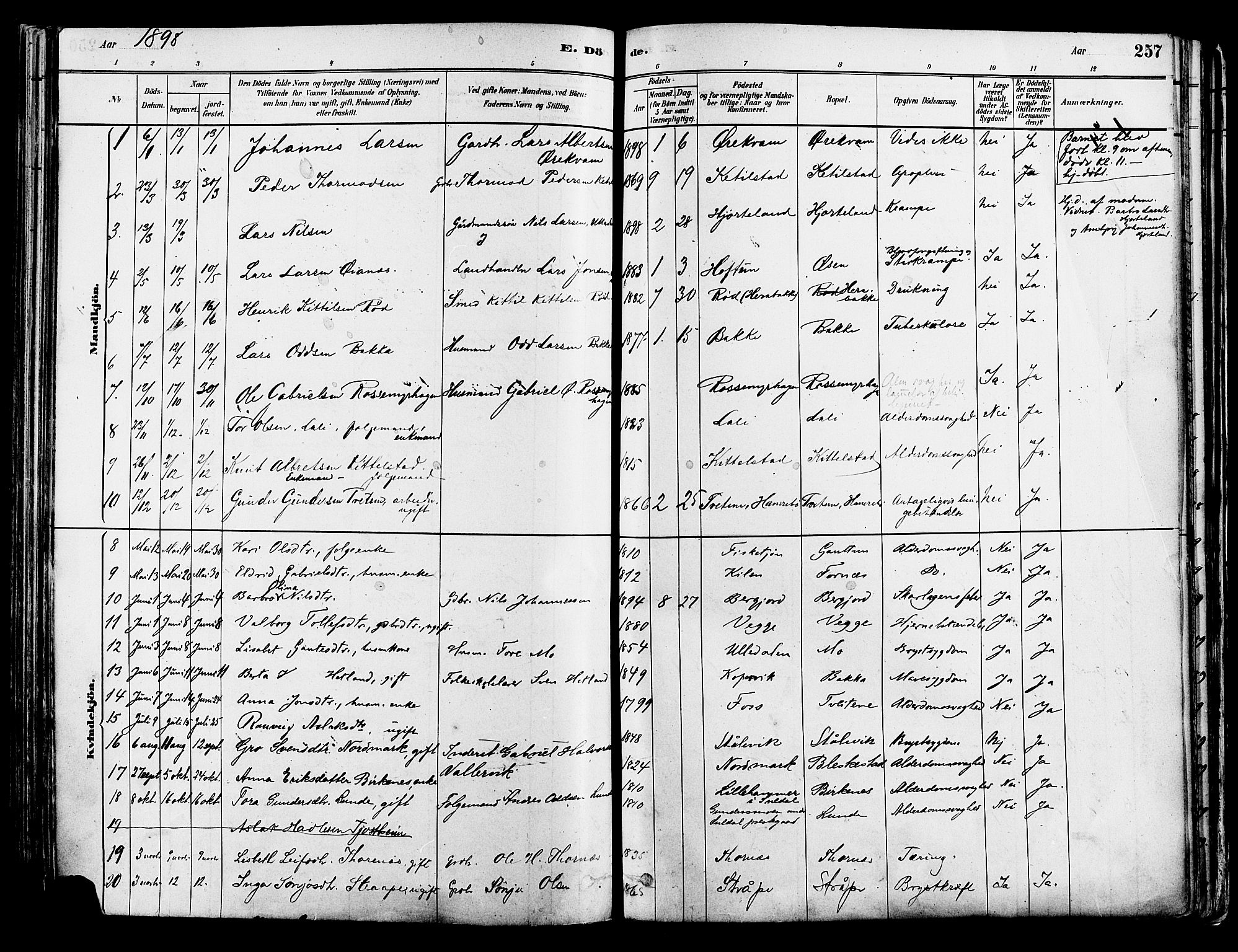 Suldal sokneprestkontor, AV/SAST-A-101845/01/IV/L0011: Parish register (official) no. A 11, 1878-1900, p. 257