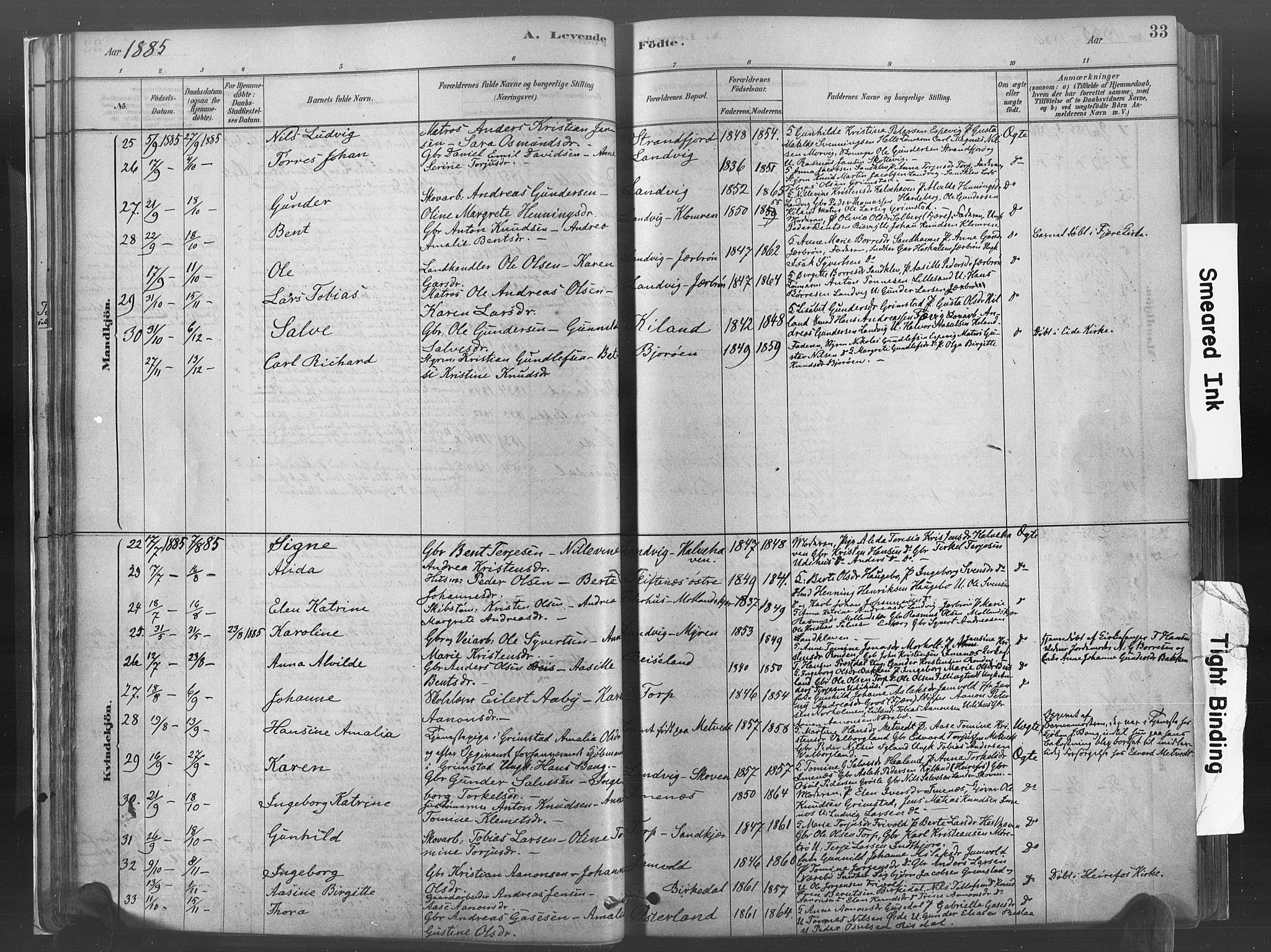 Hommedal sokneprestkontor, AV/SAK-1111-0023/F/Fa/Fab/L0006: Parish register (official) no. A 6, 1878-1897, p. 33