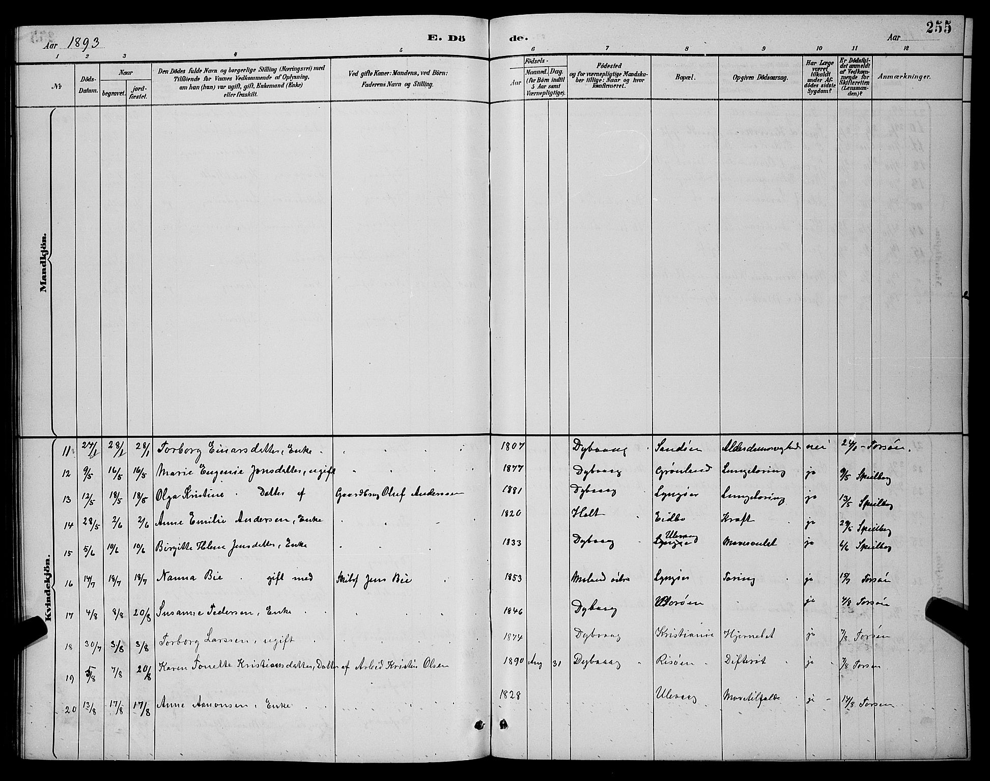 Dypvåg sokneprestkontor, AV/SAK-1111-0007/F/Fb/Fba/L0013: Parish register (copy) no. B 13, 1887-1900, p. 255