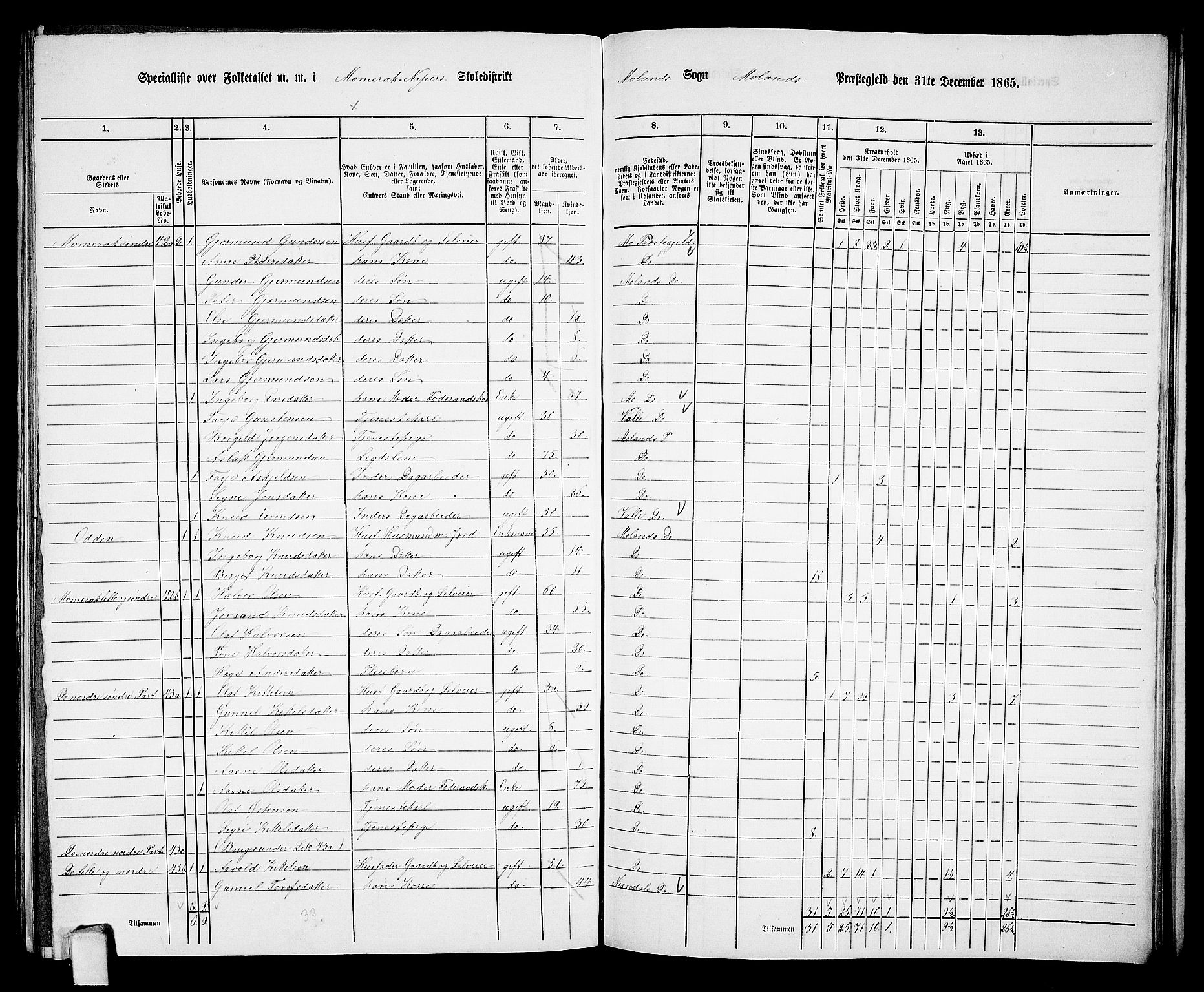 RA, 1865 census for Moland, 1865, p. 38