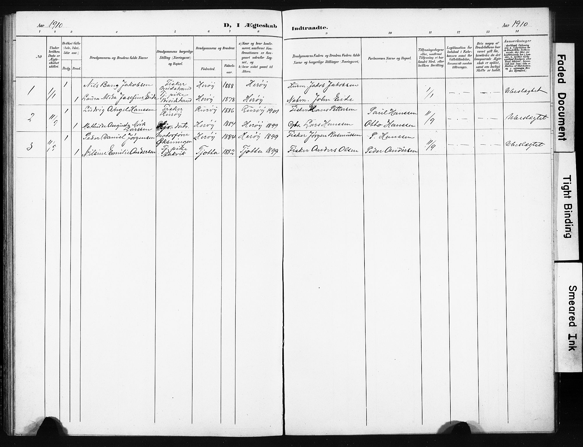 Ministerialprotokoller, klokkerbøker og fødselsregistre - Nordland, AV/SAT-A-1459/836/L0538: Parish register (copy) no. 836C02, 1901-1917