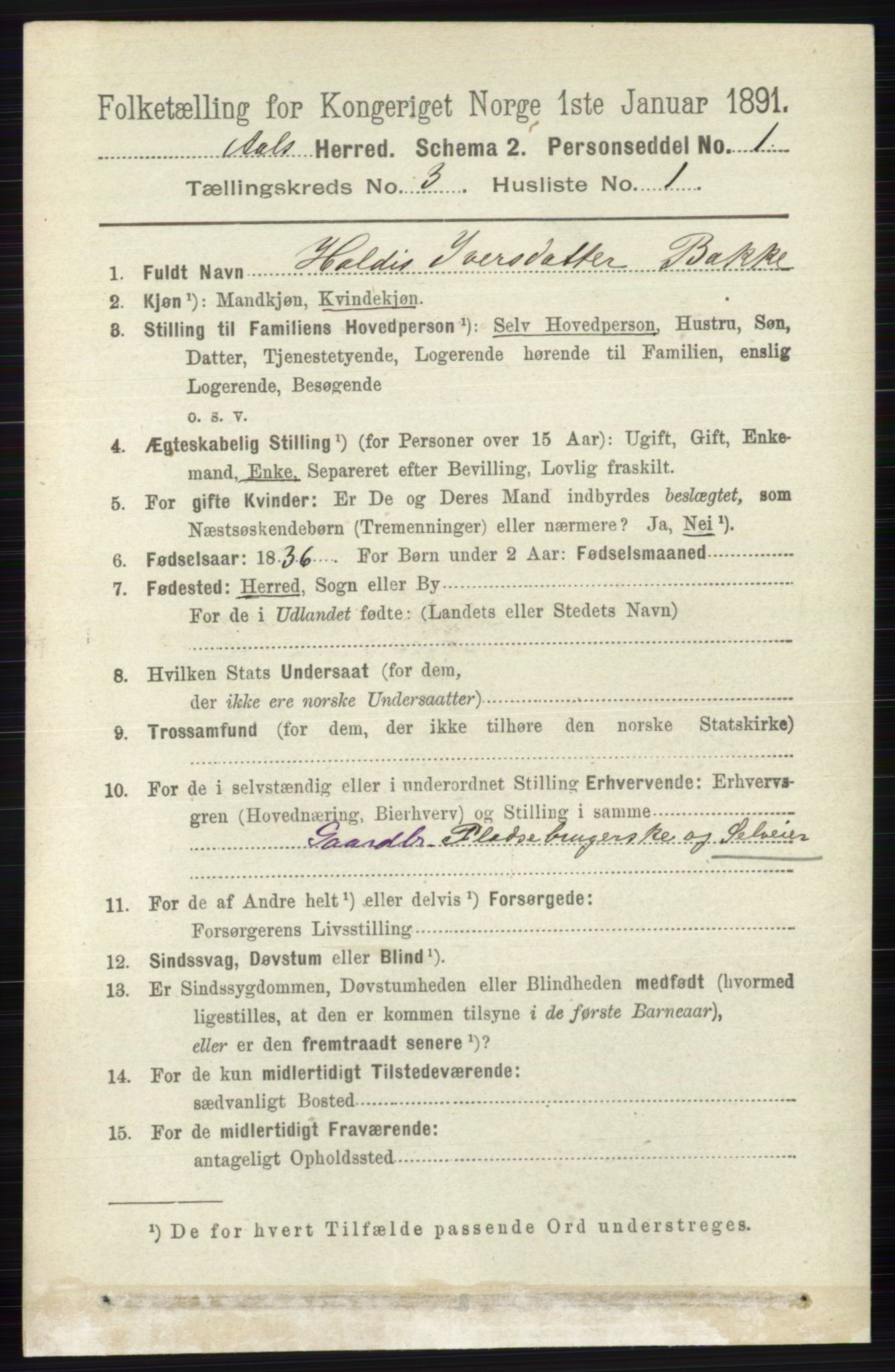 RA, 1891 census for 0619 Ål, 1891, p. 655