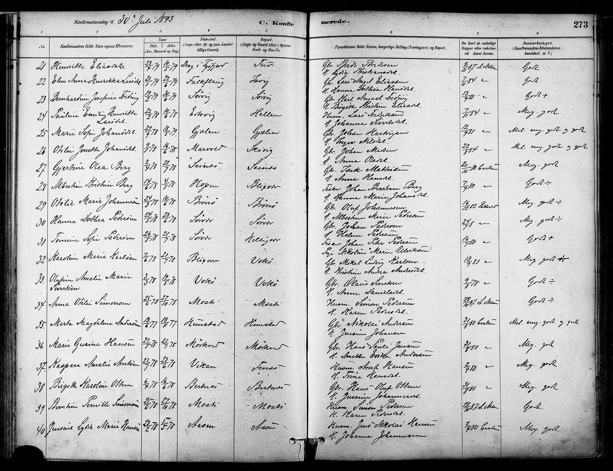 Ministerialprotokoller, klokkerbøker og fødselsregistre - Nordland, SAT/A-1459/802/L0054: Parish register (official) no. 802A01, 1879-1893, p. 273