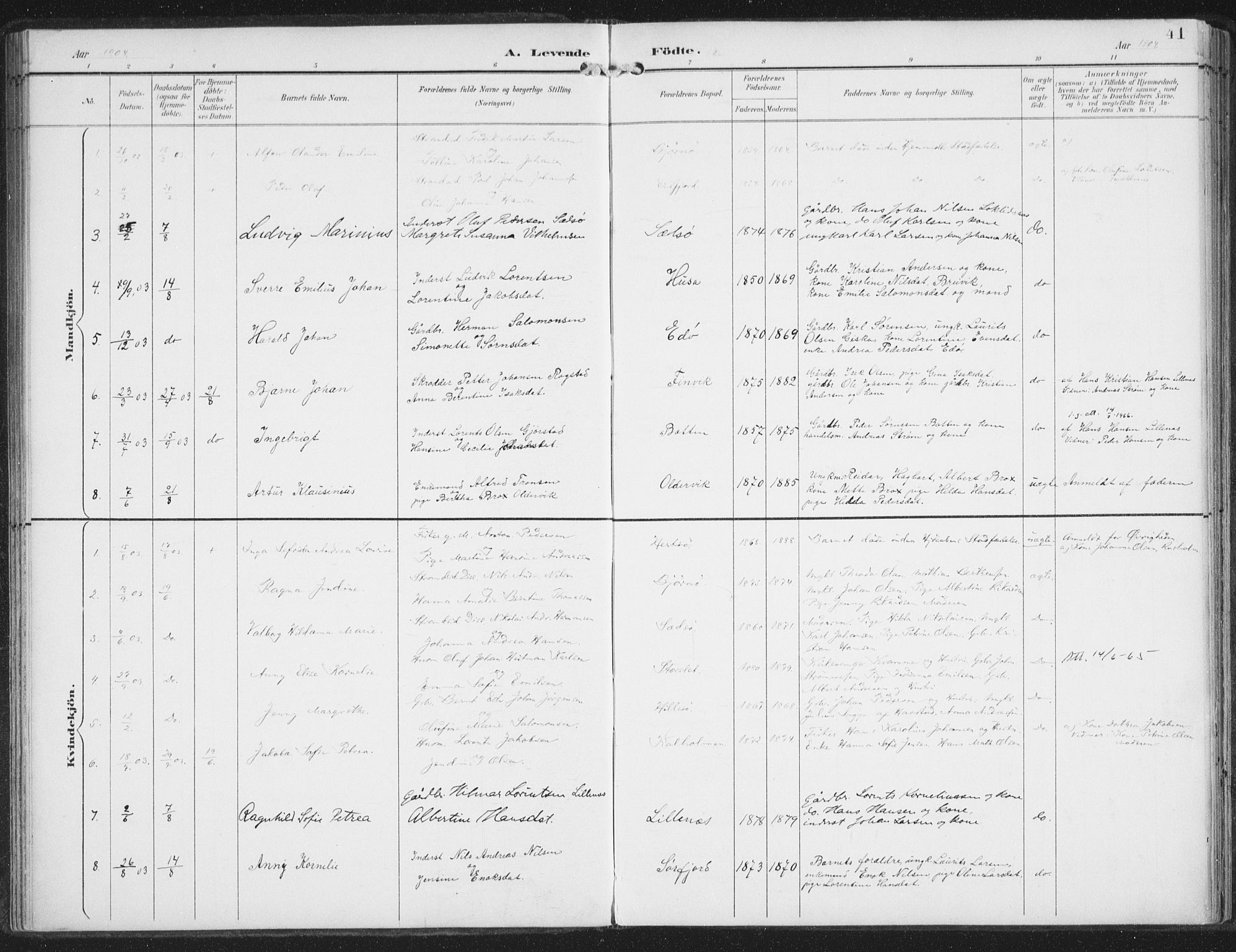 Lenvik sokneprestembete, SATØ/S-1310/H/Ha/Haa/L0015kirke: Parish register (official) no. 15, 1896-1915, p. 41