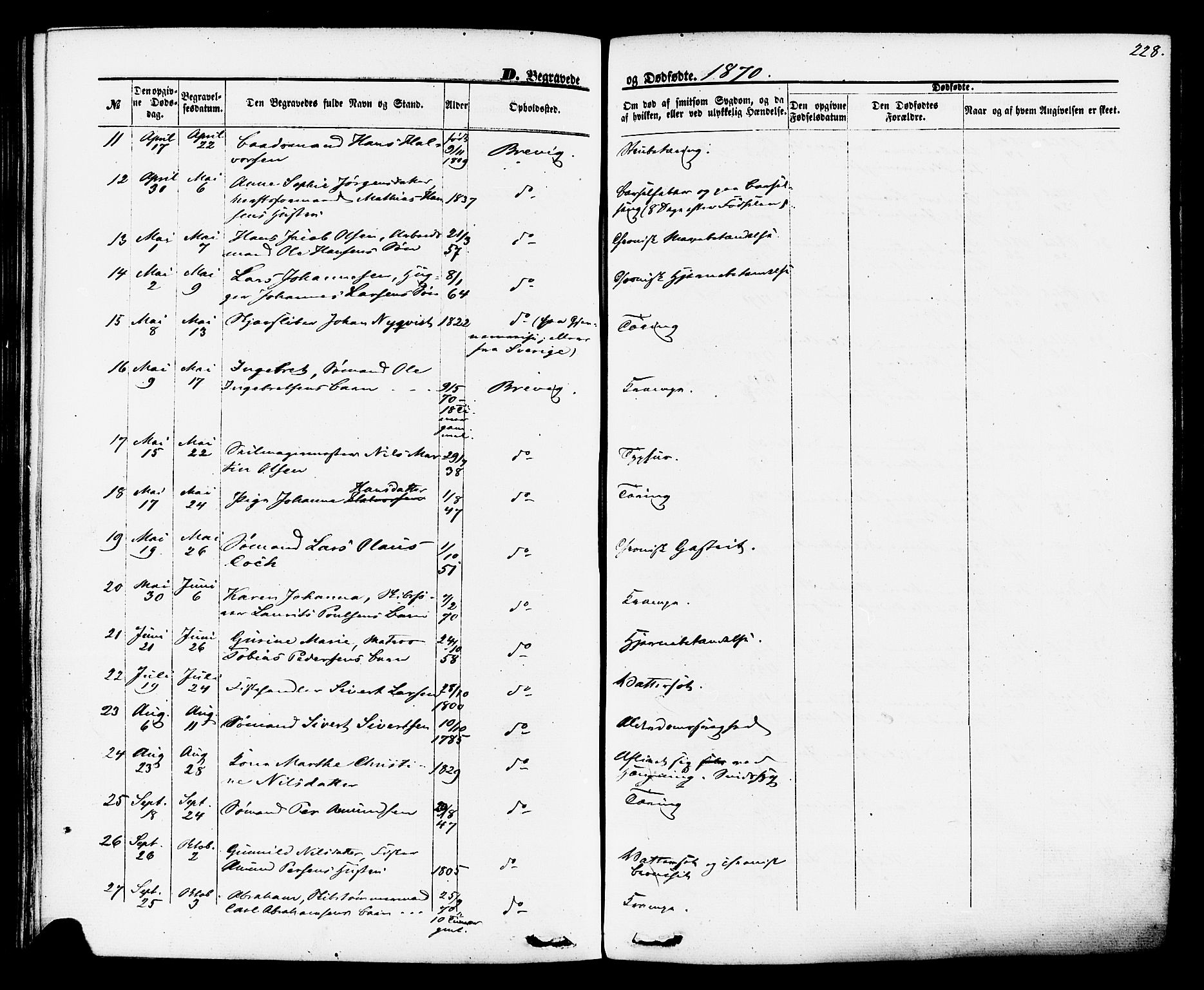 Brevik kirkebøker, AV/SAKO-A-255/F/Fa/L0006: Parish register (official) no. 6, 1866-1881, p. 228