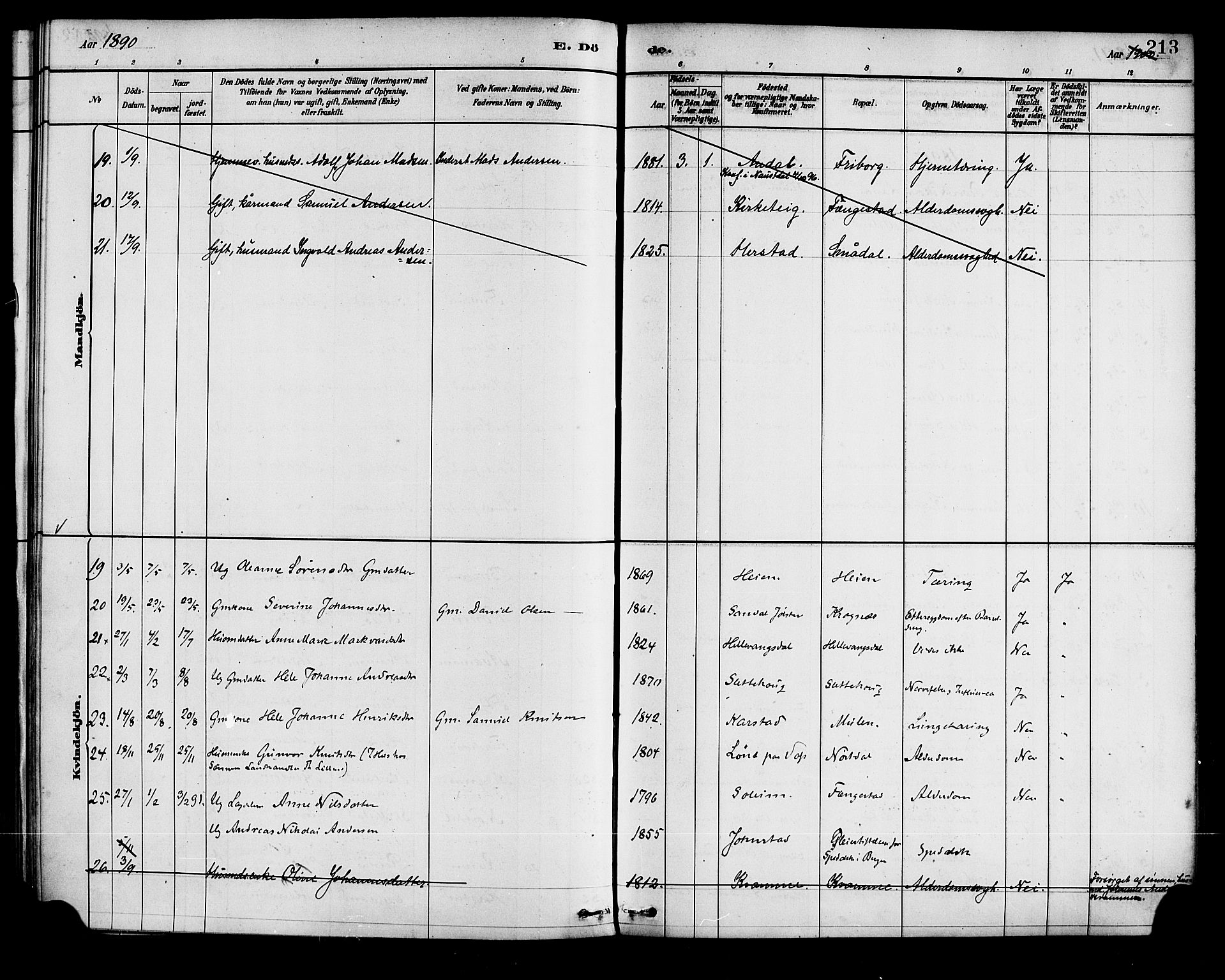 Førde sokneprestembete, SAB/A-79901/H/Haa/Haad/L0001: Parish register (official) no. D 1, 1881-1898, p. 213