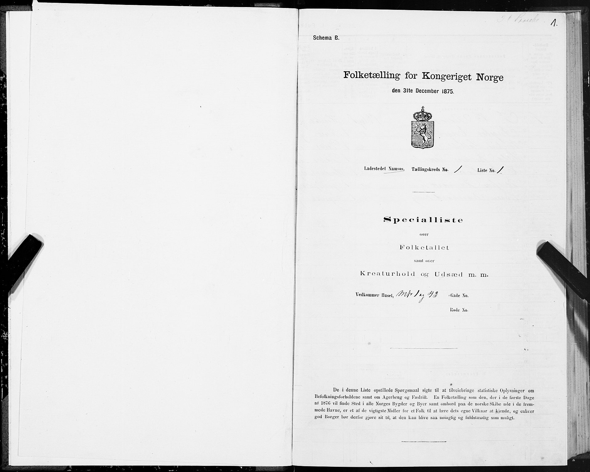 SAT, 1875 census for 1703B Namsos/Namsos, 1875, p. 1