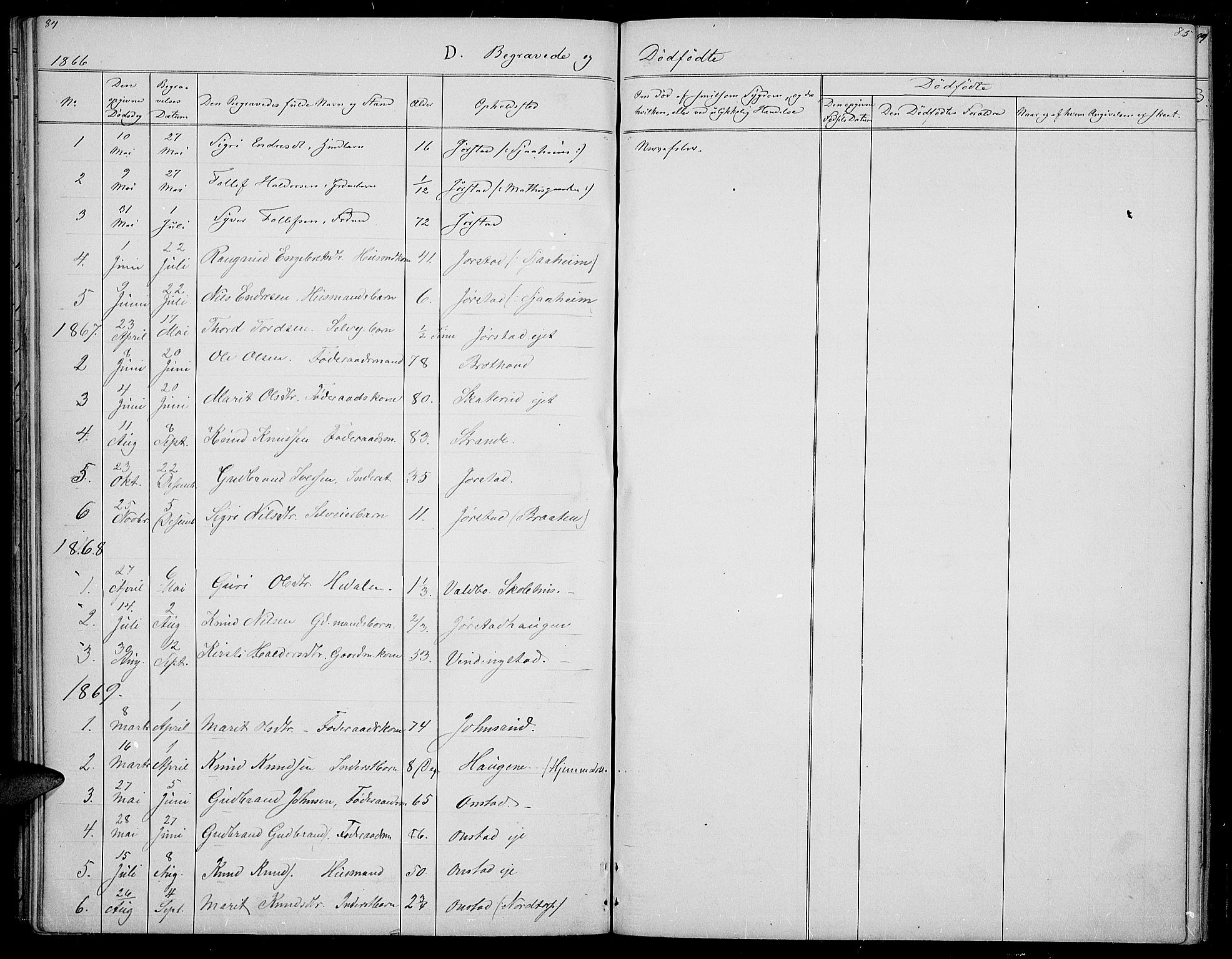 Øystre Slidre prestekontor, SAH/PREST-138/H/Ha/Hab/L0002: Parish register (copy) no. 2, 1866-1886, p. 84-85