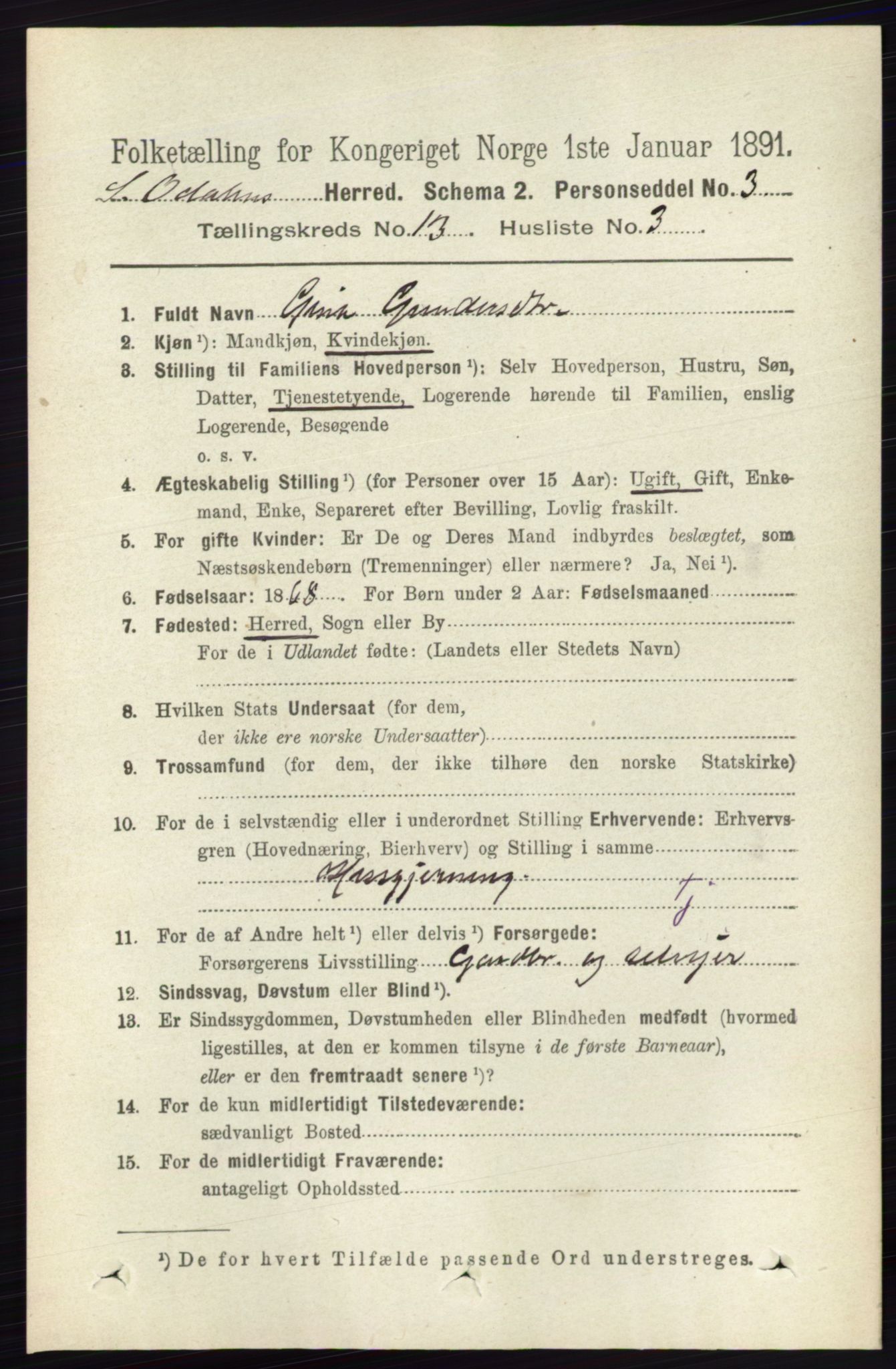 RA, 1891 census for 0419 Sør-Odal, 1891, p. 5581