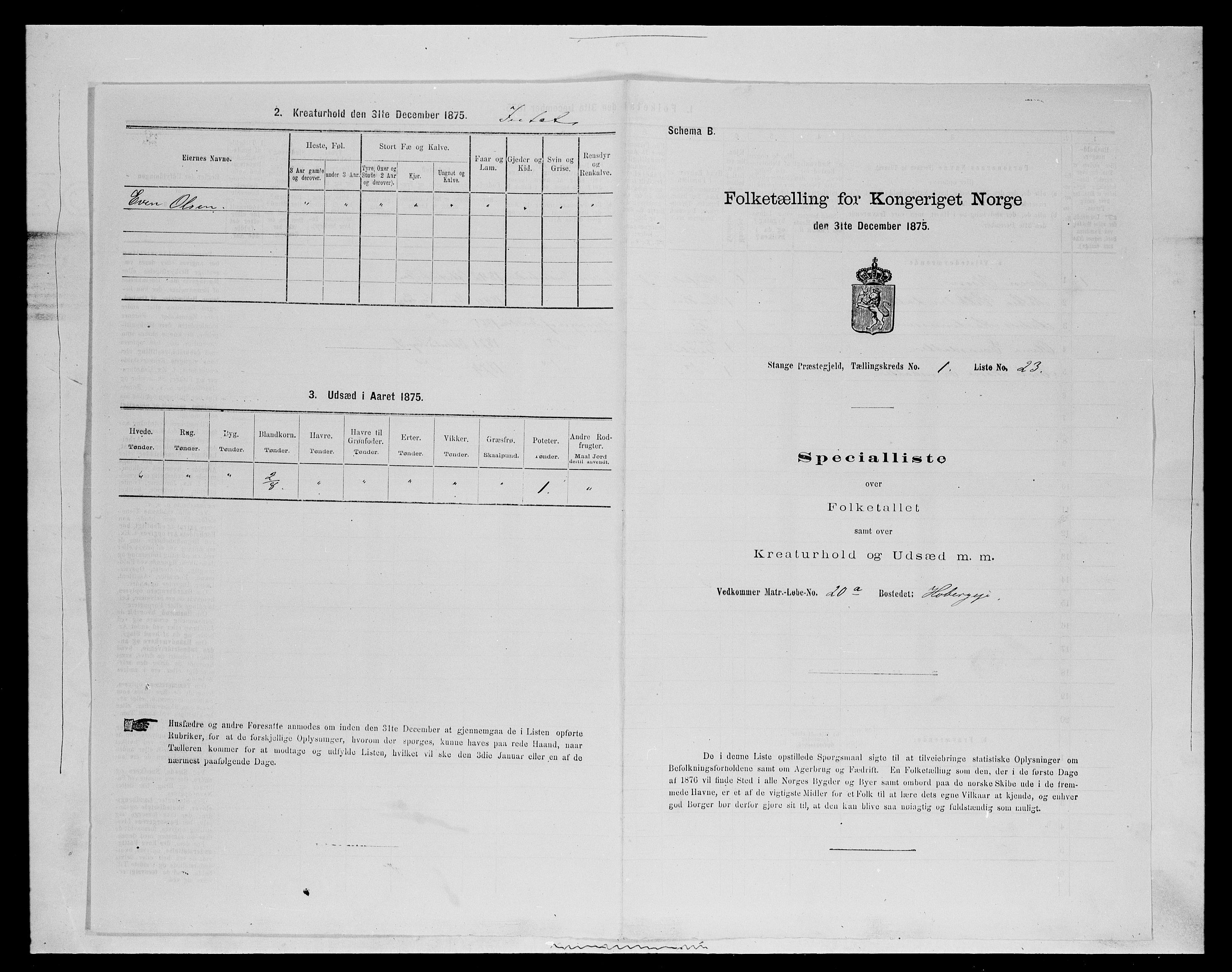 SAH, 1875 census for 0417P Stange, 1875, p. 146