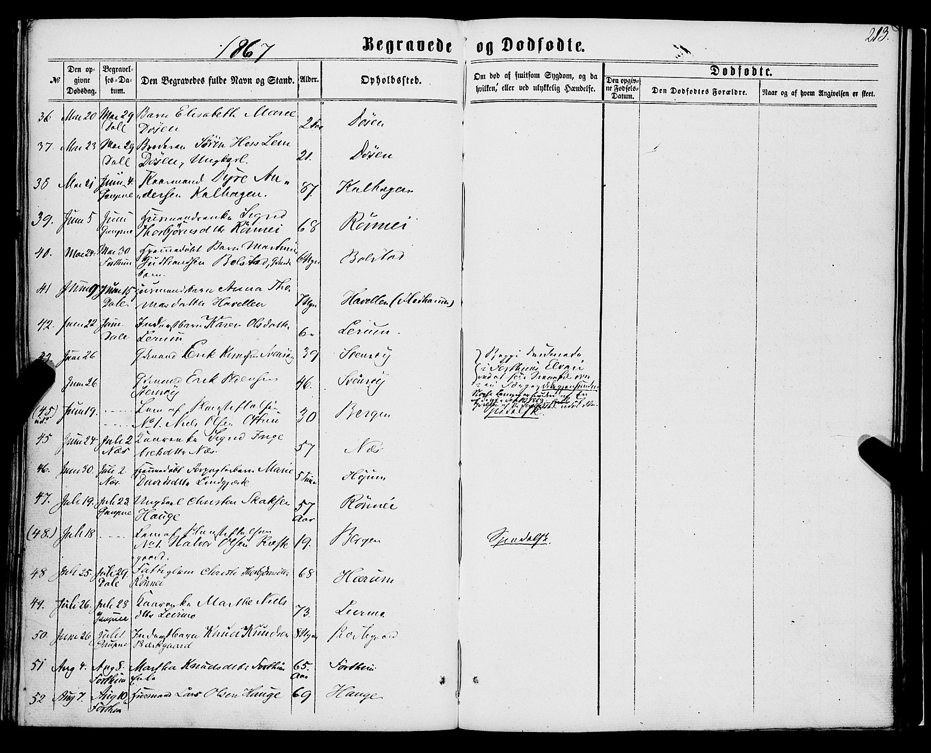 Luster sokneprestembete, SAB/A-81101/H/Haa/Haaa/L0008: Parish register (official) no. A 8, 1860-1870, p. 213