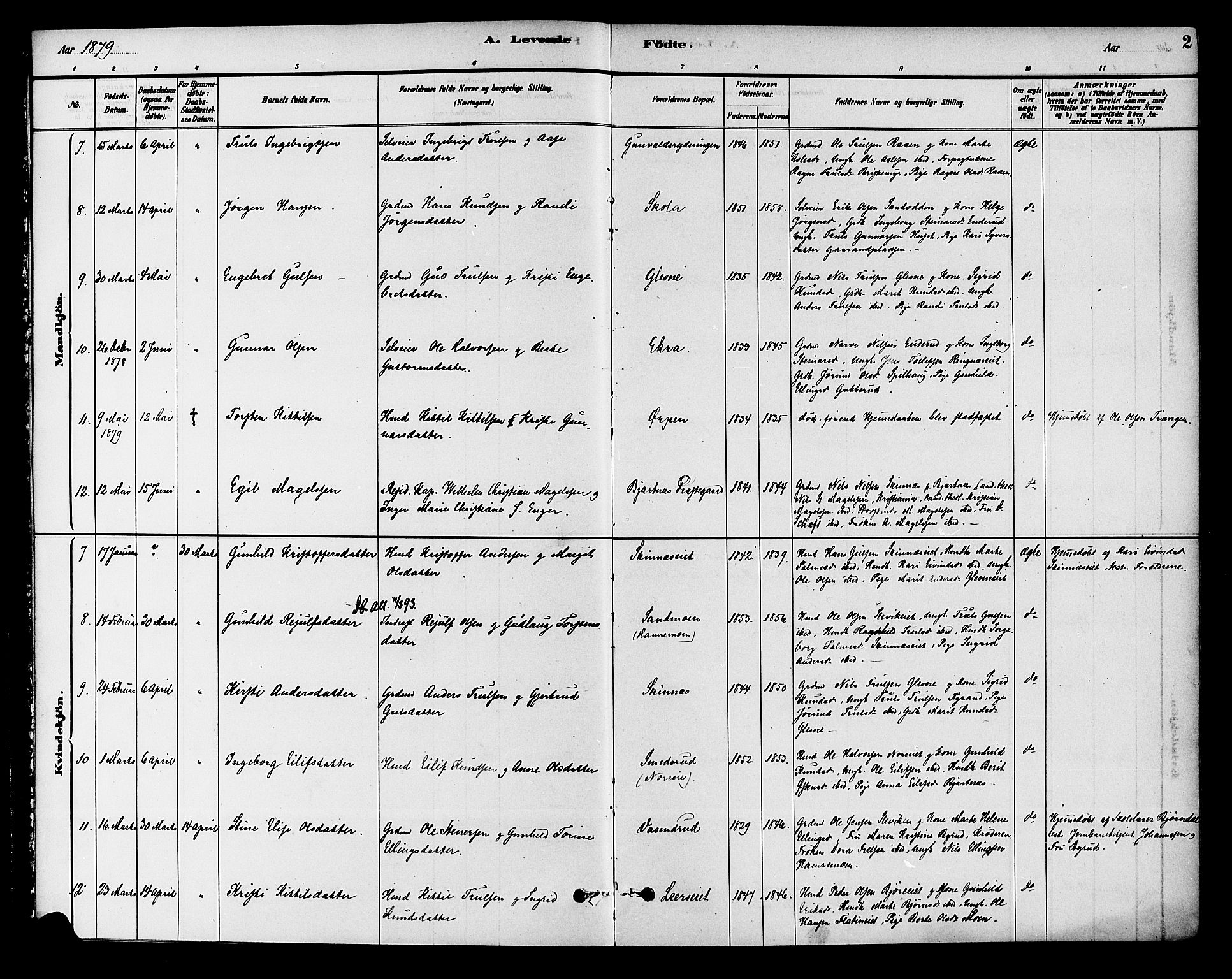 Krødsherad kirkebøker, AV/SAKO-A-19/G/Ga/L0001: Parish register (copy) no. 1, 1879-1893, p. 2