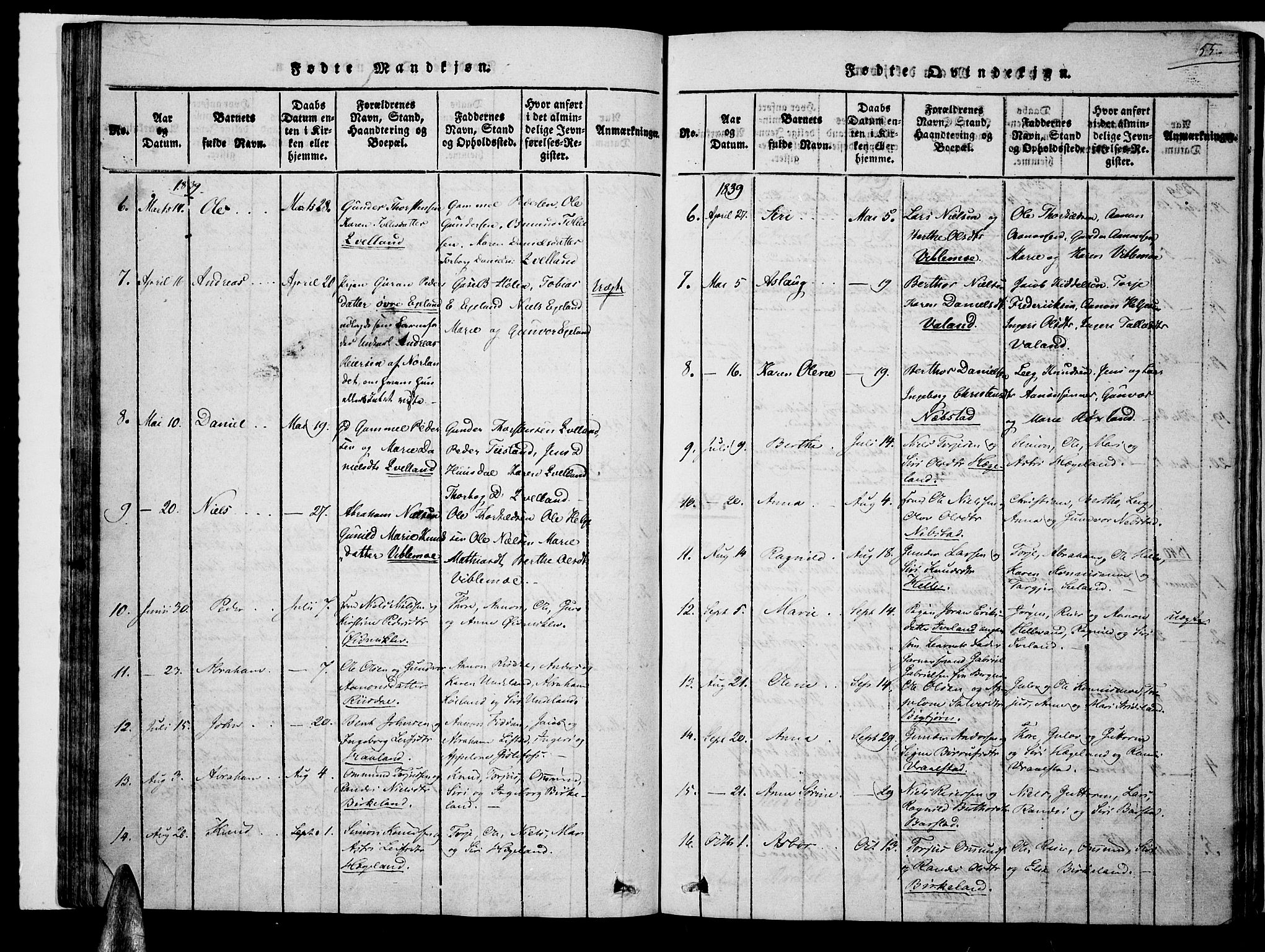 Nord-Audnedal sokneprestkontor, AV/SAK-1111-0032/F/Fa/Faa/L0001: Parish register (official) no. A 1, 1815-1856, p. 55