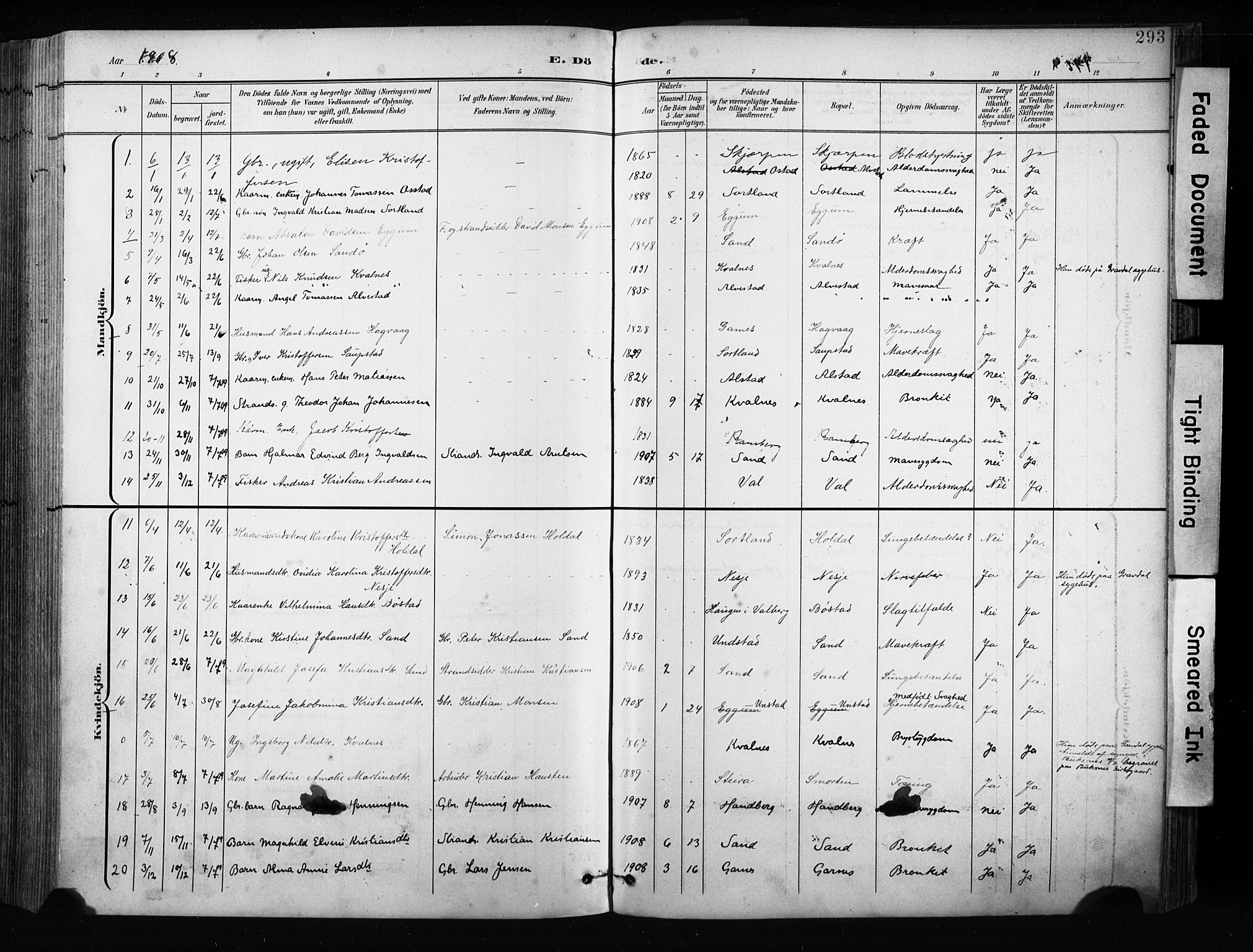 Ministerialprotokoller, klokkerbøker og fødselsregistre - Nordland, AV/SAT-A-1459/880/L1134: Parish register (official) no. 880A08, 1899-1908, p. 293