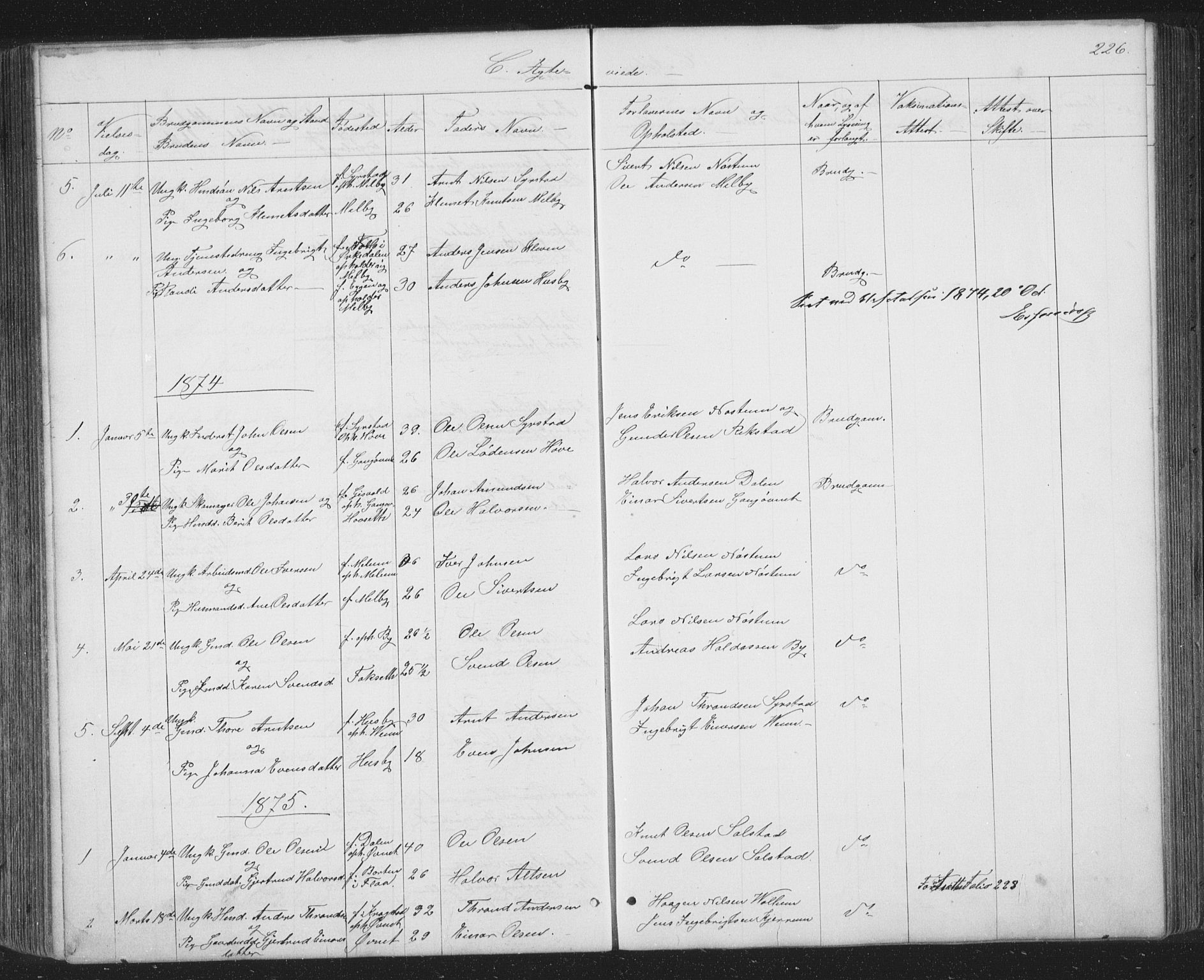 Ministerialprotokoller, klokkerbøker og fødselsregistre - Sør-Trøndelag, AV/SAT-A-1456/667/L0798: Parish register (copy) no. 667C03, 1867-1929, p. 226