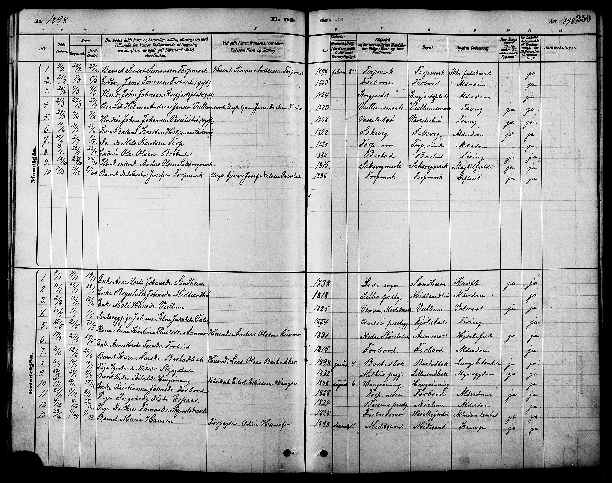 Ministerialprotokoller, klokkerbøker og fødselsregistre - Sør-Trøndelag, SAT/A-1456/616/L0423: Parish register (copy) no. 616C06, 1878-1903, p. 250