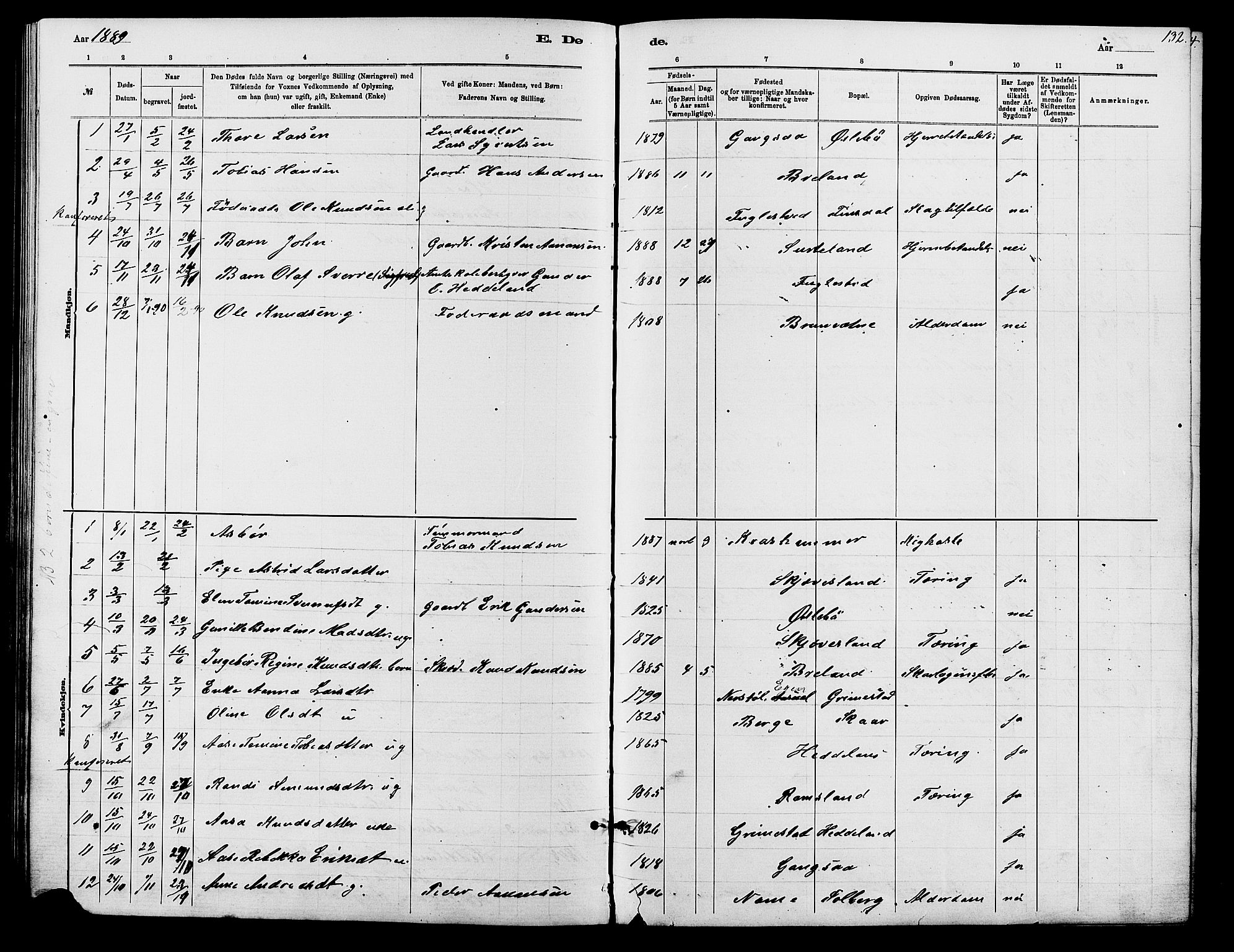 Holum sokneprestkontor, SAK/1111-0022/F/Fb/Fbc/L0003: Parish register (copy) no. B 3, 1882-1908, p. 132