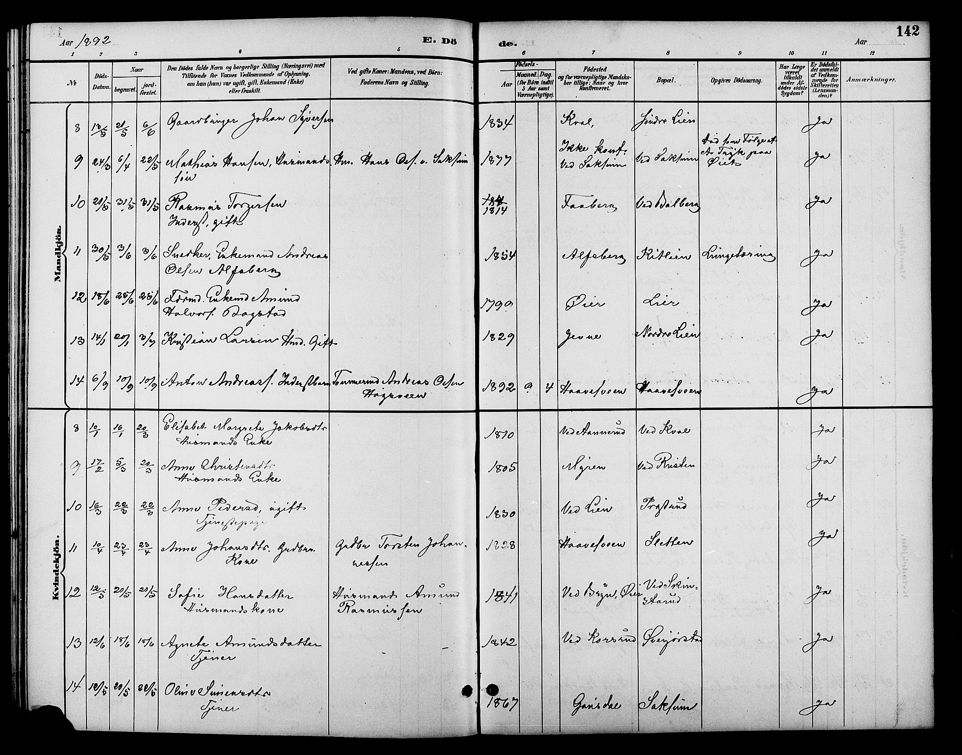 Fåberg prestekontor, SAH/PREST-086/H/Ha/Hab/L0010: Parish register (copy) no. 10, 1892-1900, p. 142