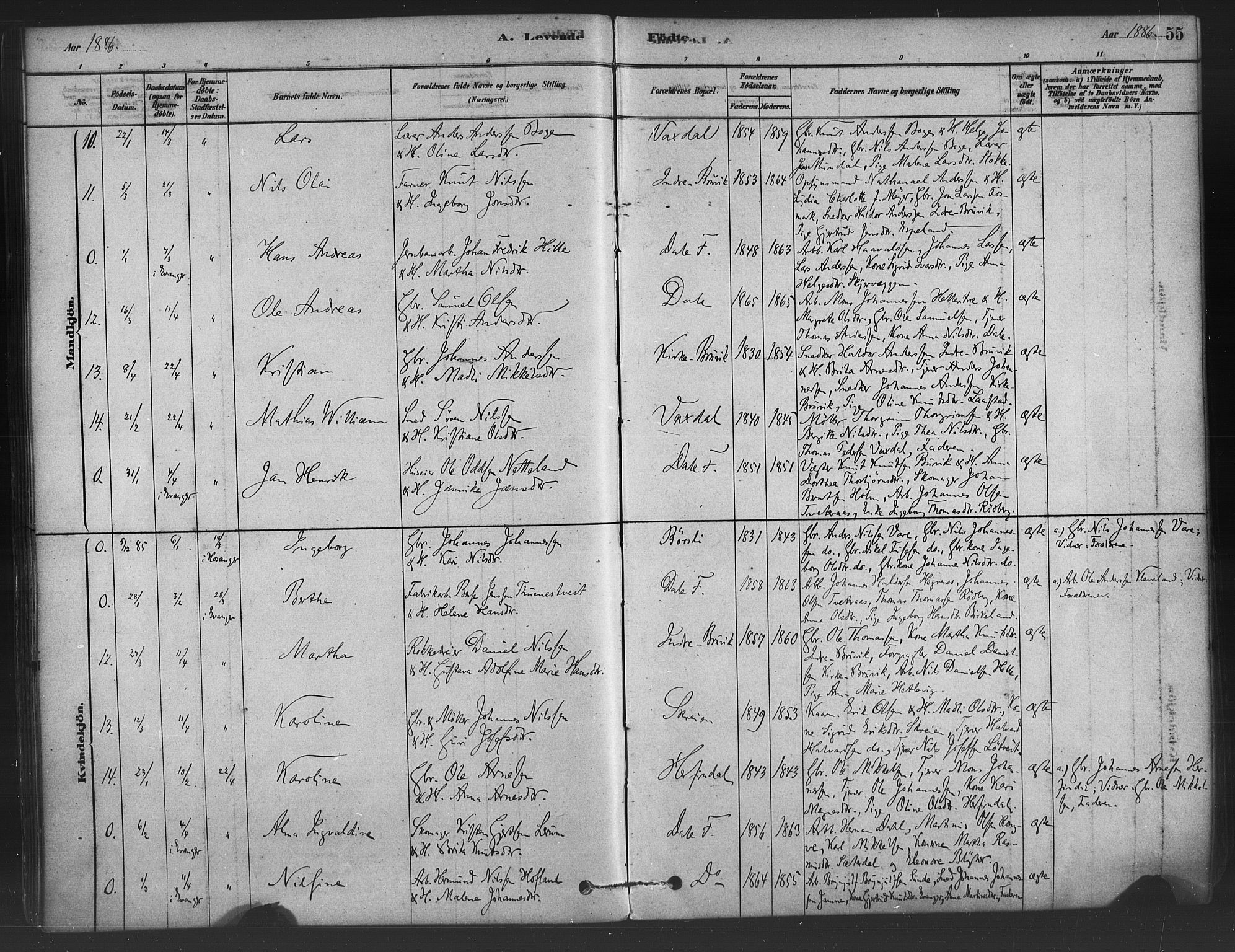 Bruvik Sokneprestembete, SAB/A-74701/H/Haa: Parish register (official) no. B 1, 1878-1904, p. 55