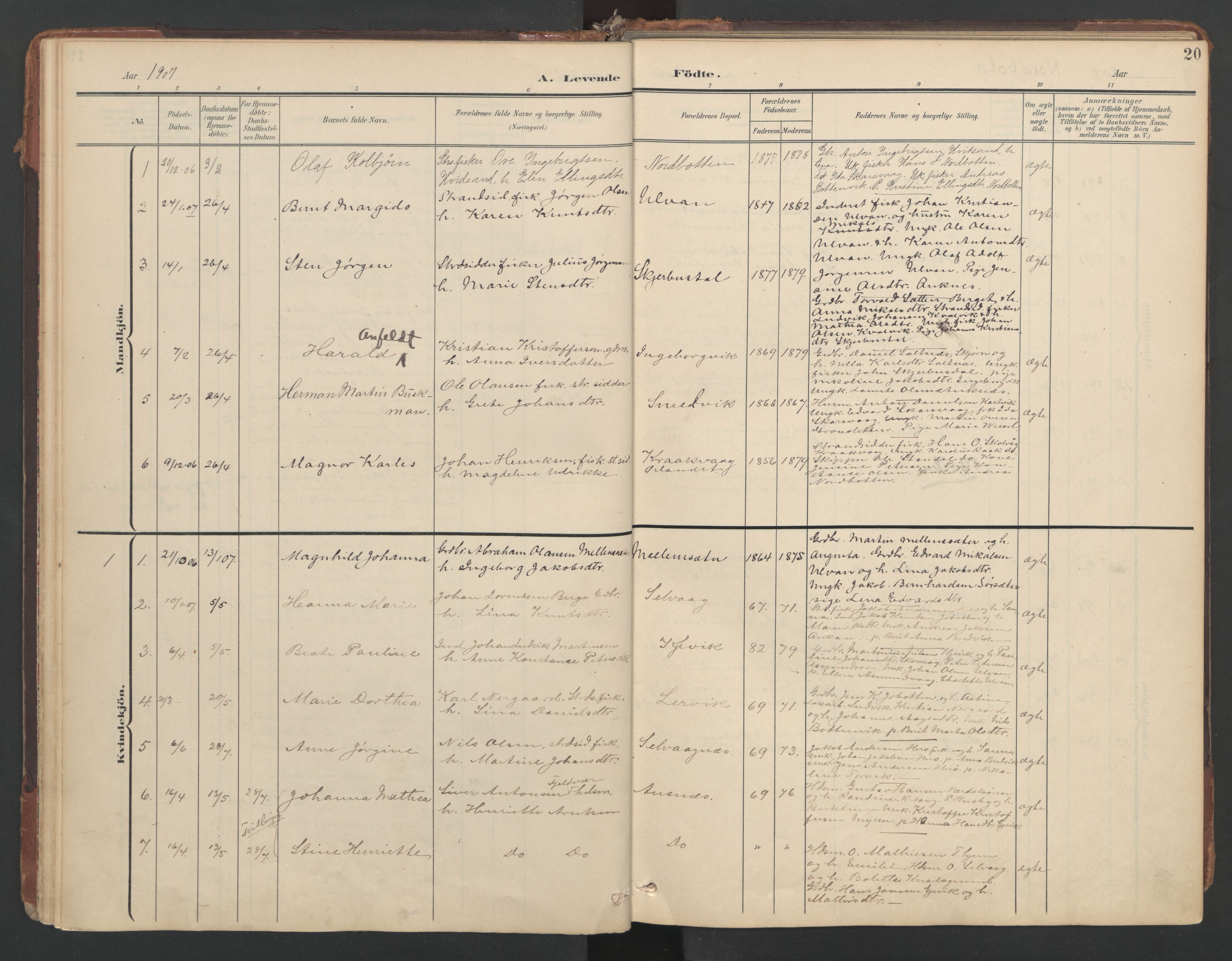 Ministerialprotokoller, klokkerbøker og fødselsregistre - Sør-Trøndelag, SAT/A-1456/638/L0568: Parish register (official) no. 638A01, 1901-1916, p. 20