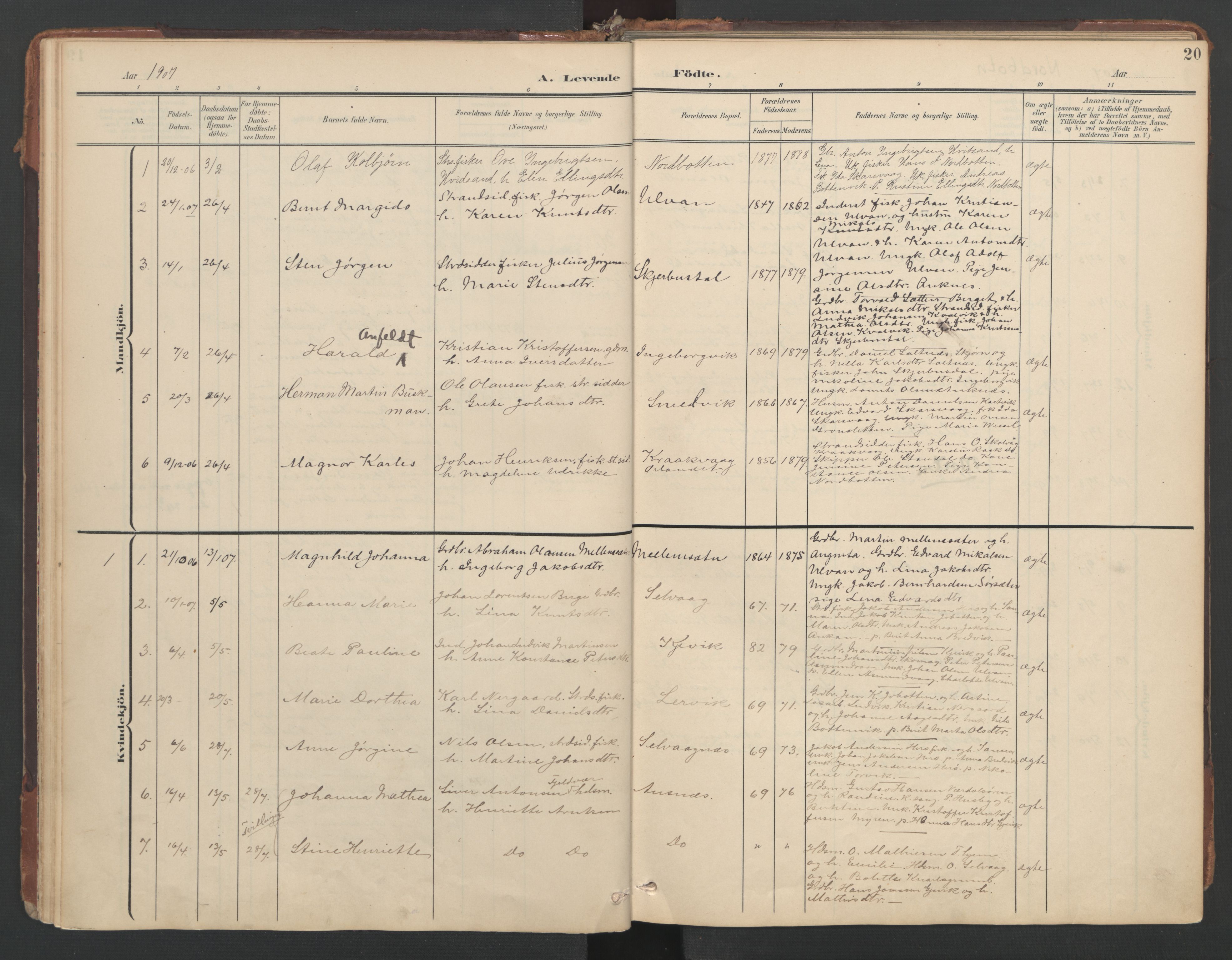 Ministerialprotokoller, klokkerbøker og fødselsregistre - Sør-Trøndelag, AV/SAT-A-1456/638/L0568: Parish register (official) no. 638A01, 1901-1916, p. 20