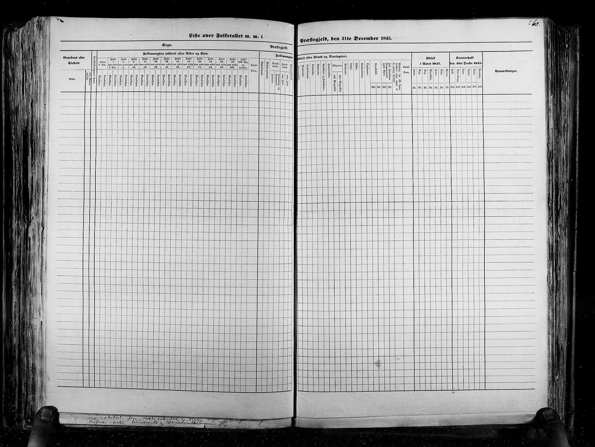 RA, Census 1845, vol. 5: Bratsberg amt og Nedenes og Råbyggelaget amt, 1845, p. 260