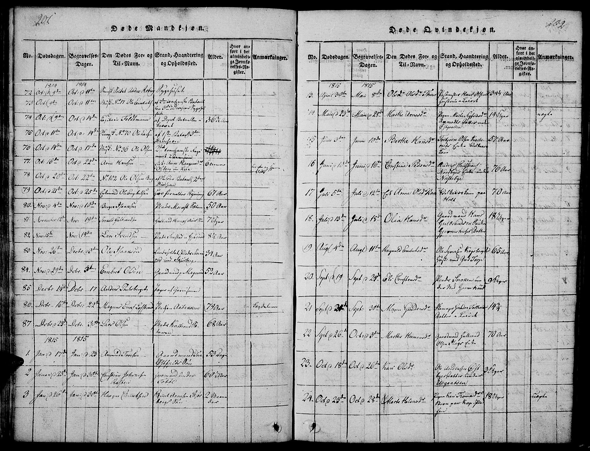Vinger prestekontor, AV/SAH-PREST-024/H/Ha/Hab/L0001: Parish register (copy) no. 1, 1814-1825, p. 201-202