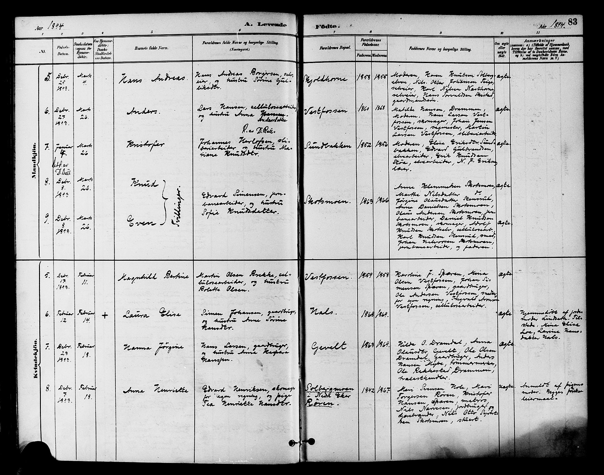 Eiker kirkebøker, SAKO/A-4/F/Fb/L0002: Parish register (official) no. II 2, 1889-1896, p. 83