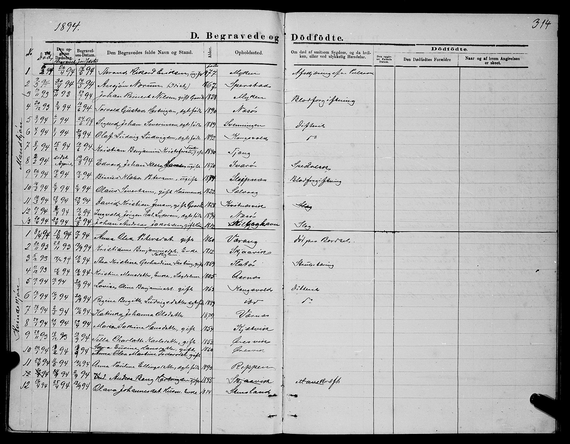Ministerialprotokoller, klokkerbøker og fødselsregistre - Nordland, SAT/A-1459/841/L0620: Parish register (copy) no. 841C04, 1877-1896, p. 314