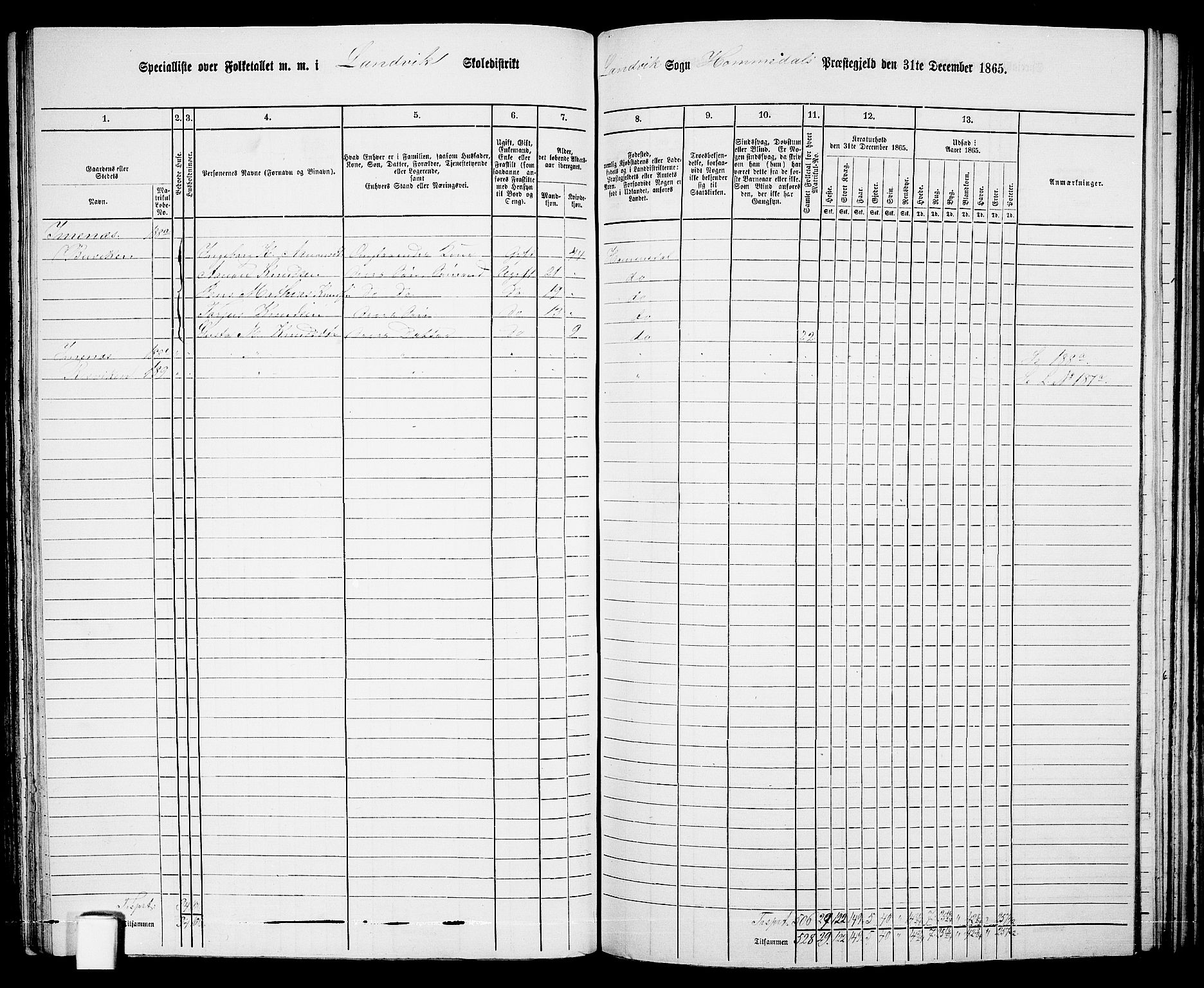 RA, 1865 census for Homedal, 1865, p. 96