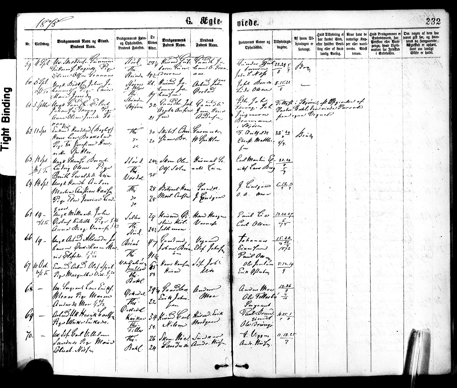 Ministerialprotokoller, klokkerbøker og fødselsregistre - Sør-Trøndelag, SAT/A-1456/602/L0118: Parish register (official) no. 602A16, 1873-1879, p. 232