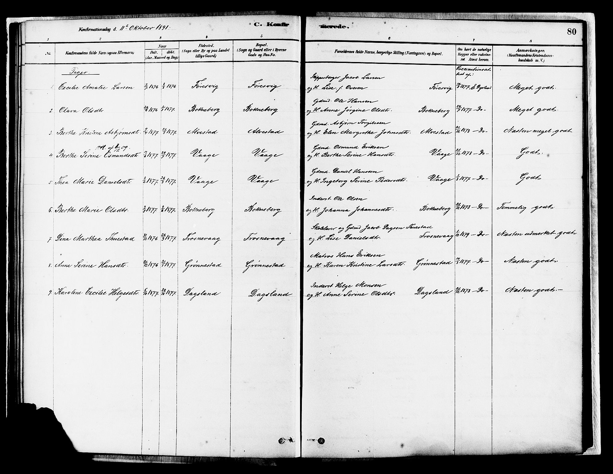 Tysvær sokneprestkontor, SAST/A -101864/H/Ha/Haa/L0007: Parish register (official) no. A 7, 1878-1897, p. 80